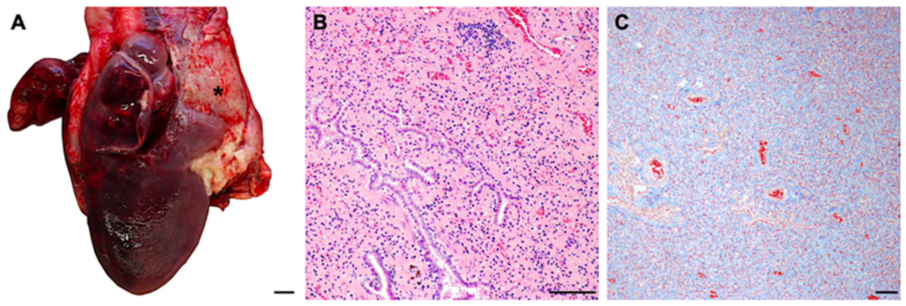 Viruses 16 01144 g008