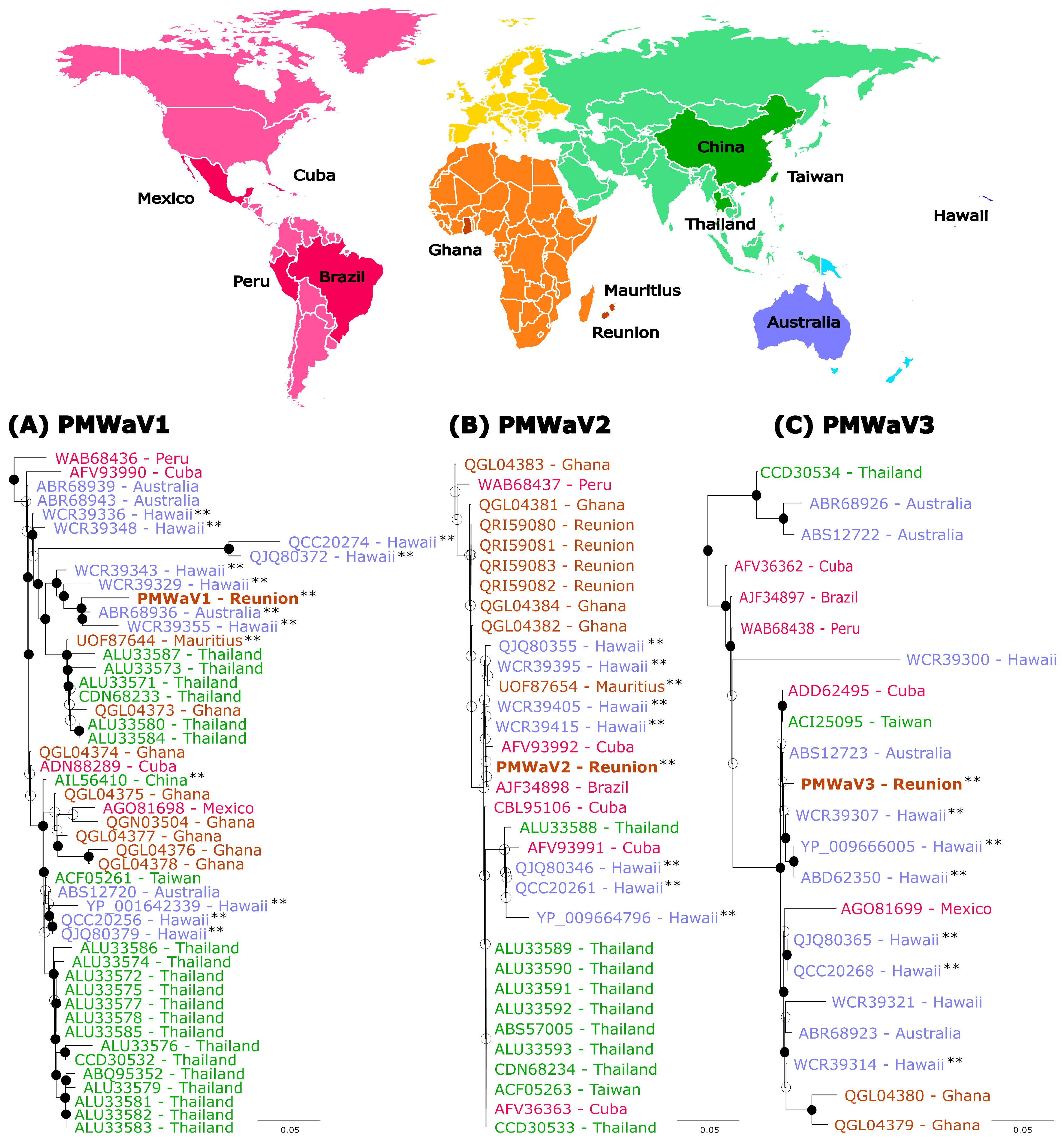 Viruses 16 01146 g003
