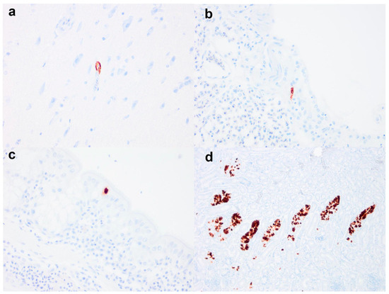 Evaluating the Impact of Low-Pathogenicity Avian Influenza