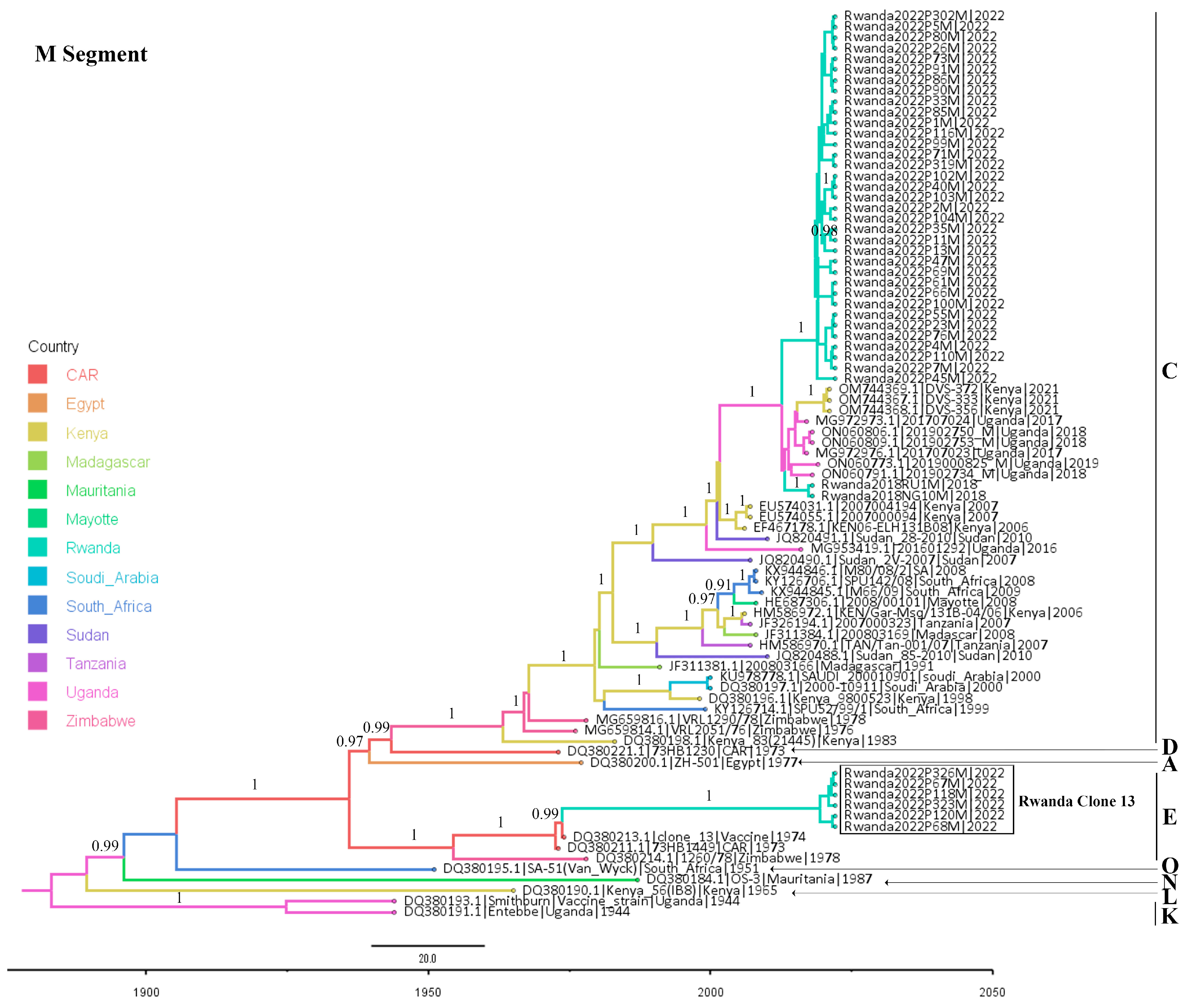 Viruses 16 01148 g003
