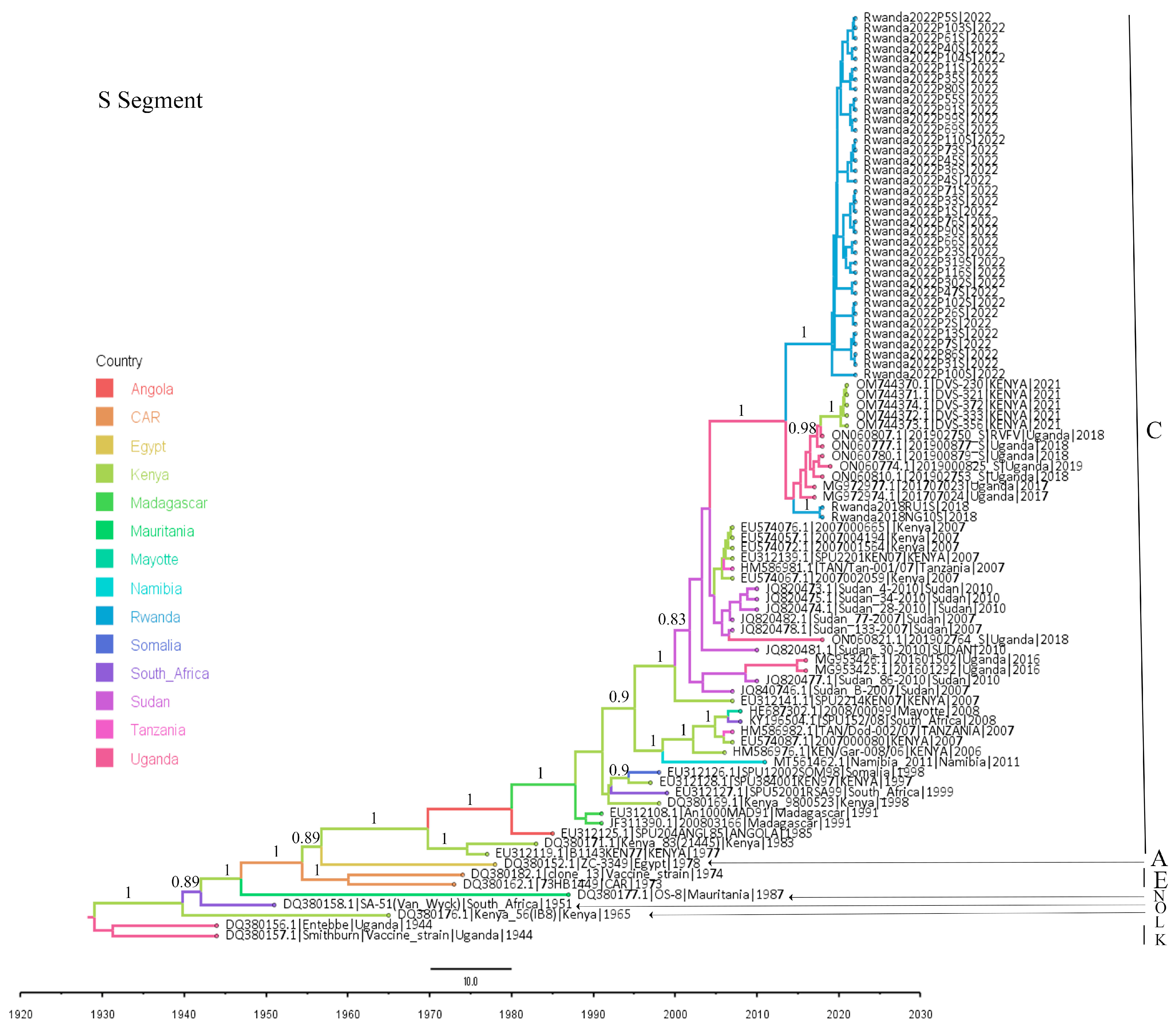 Viruses 16 01148 g004