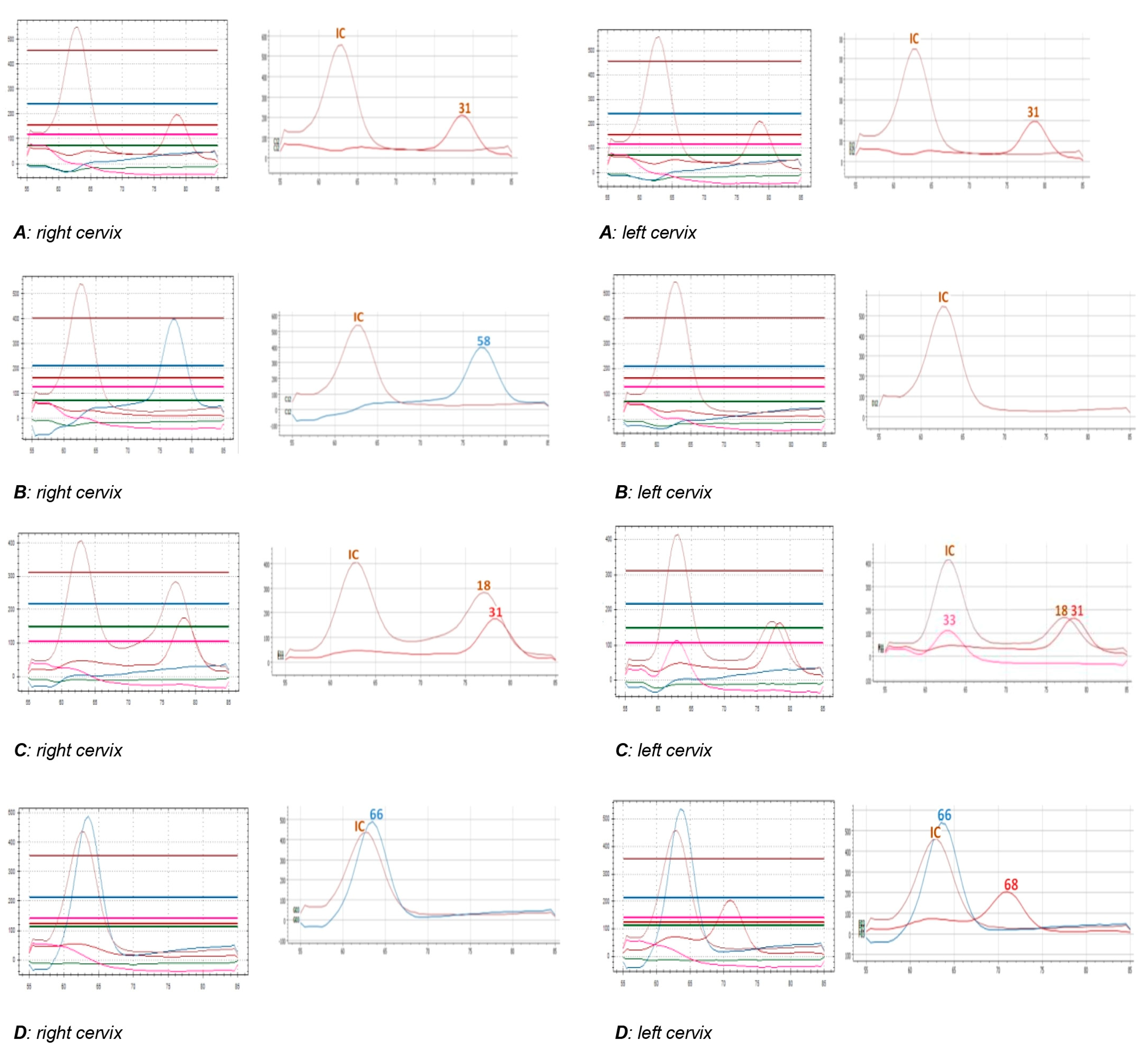 Viruses 16 01149 g001