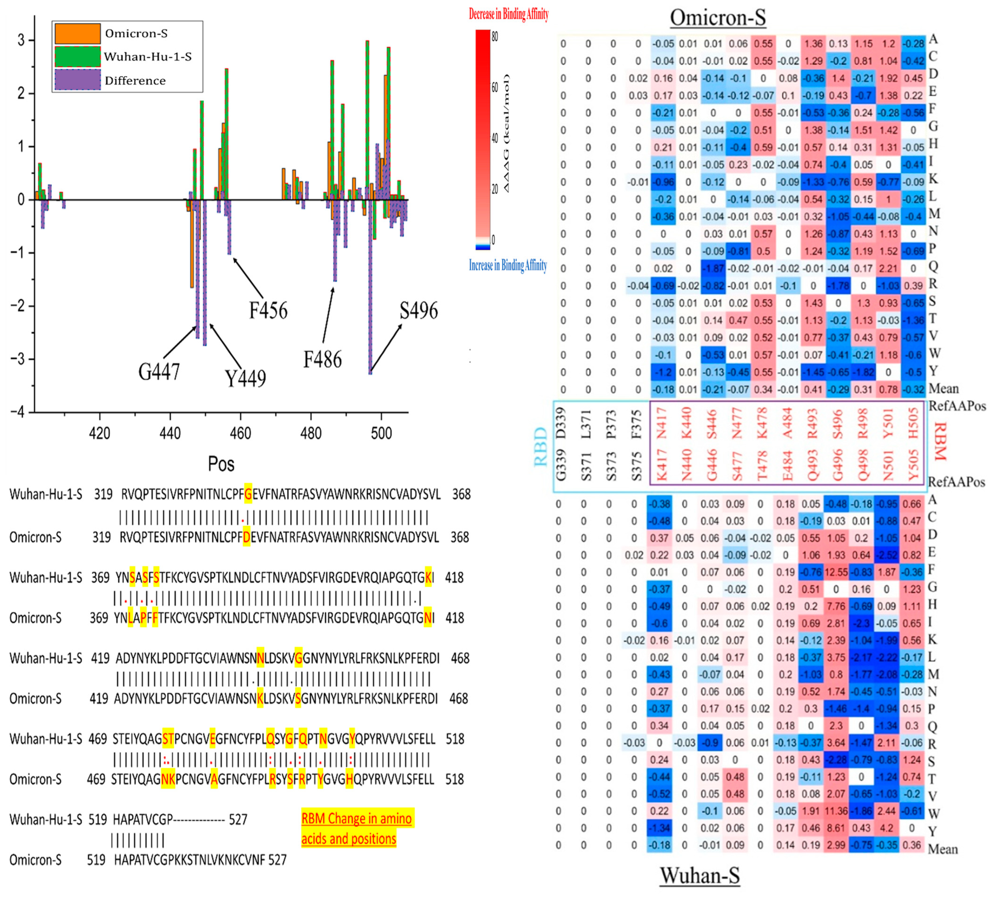 Viruses 16 01150 g005