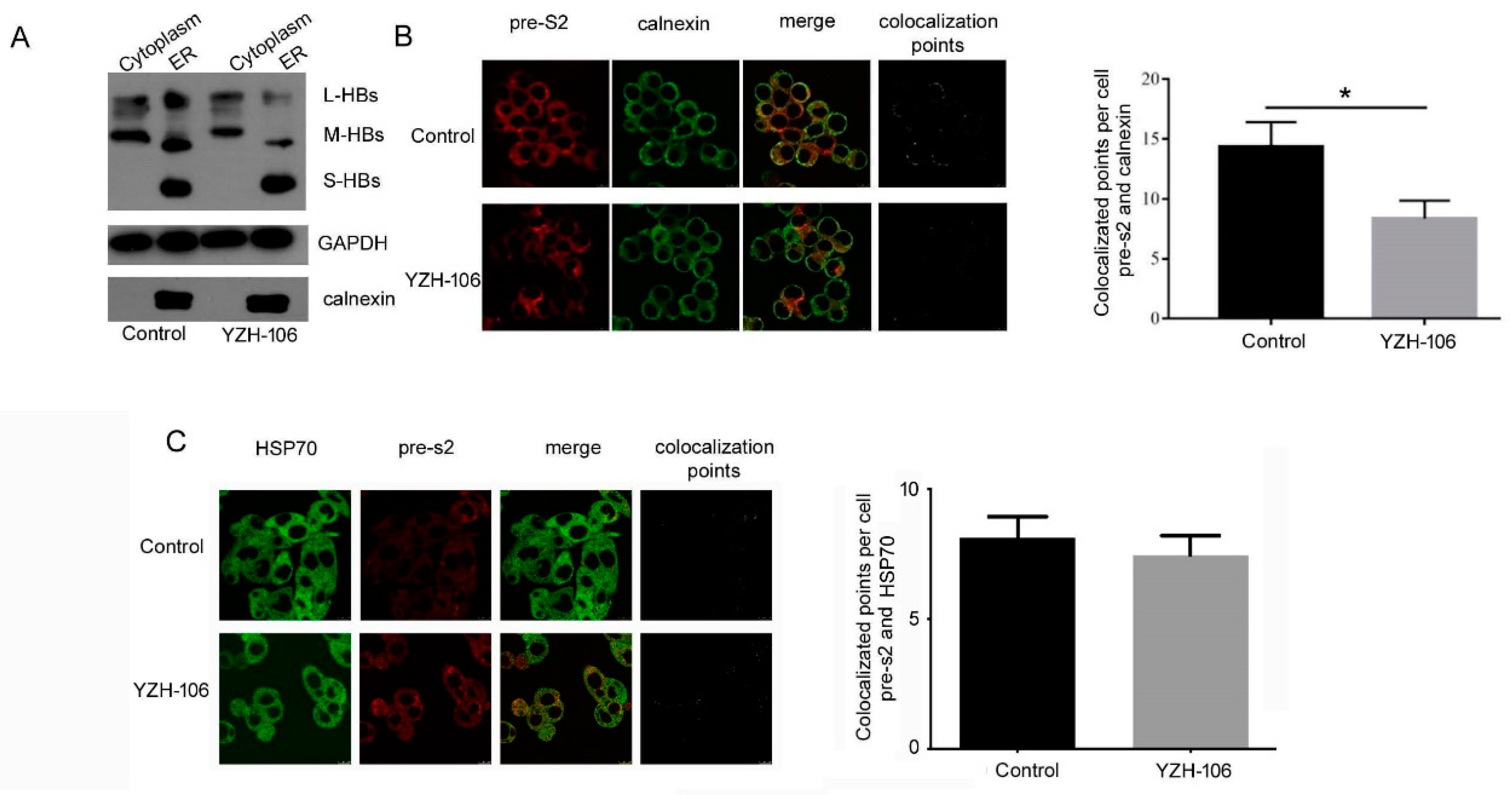 Viruses 16 01151 g003
