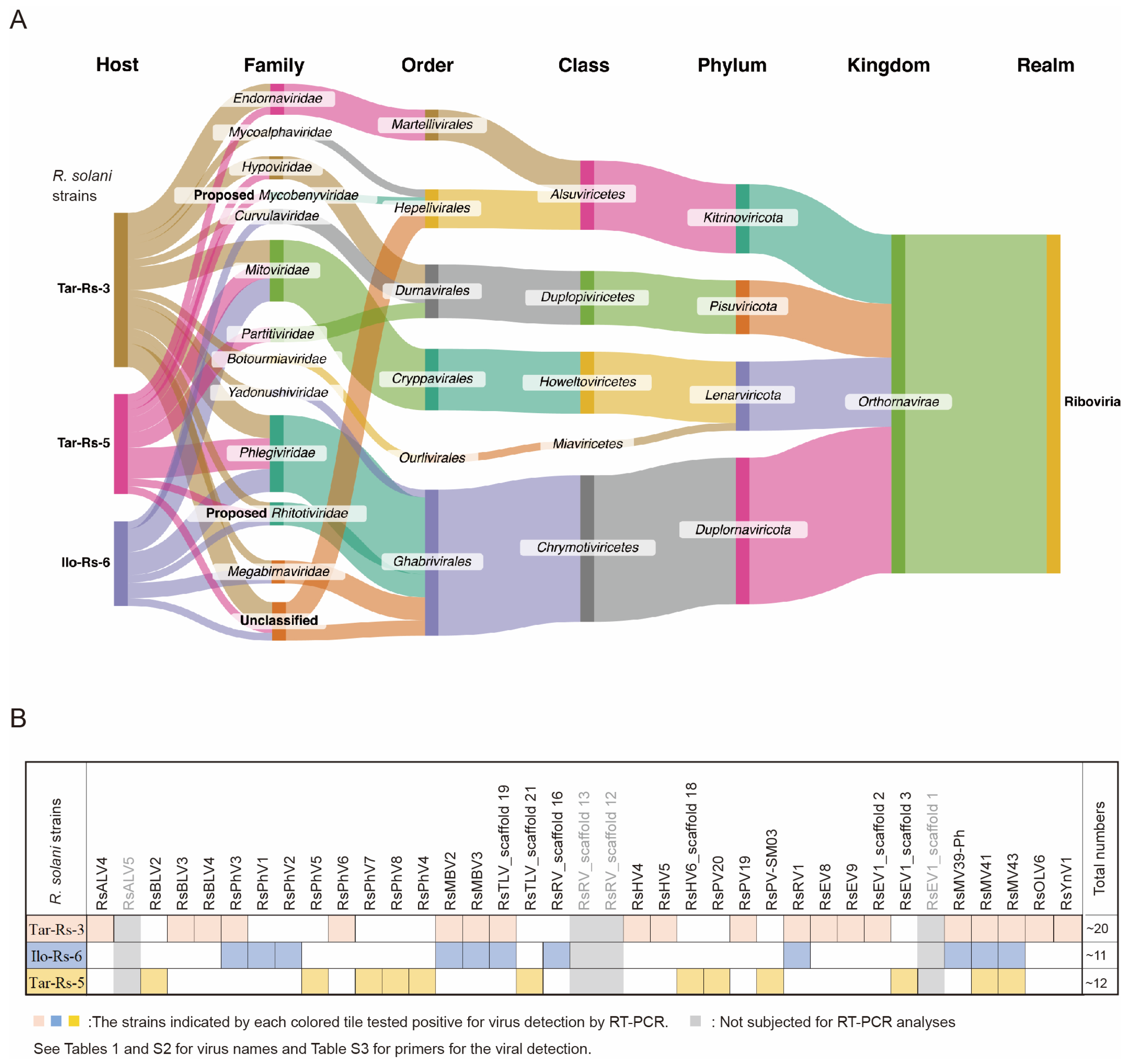 Viruses 16 01152 g002