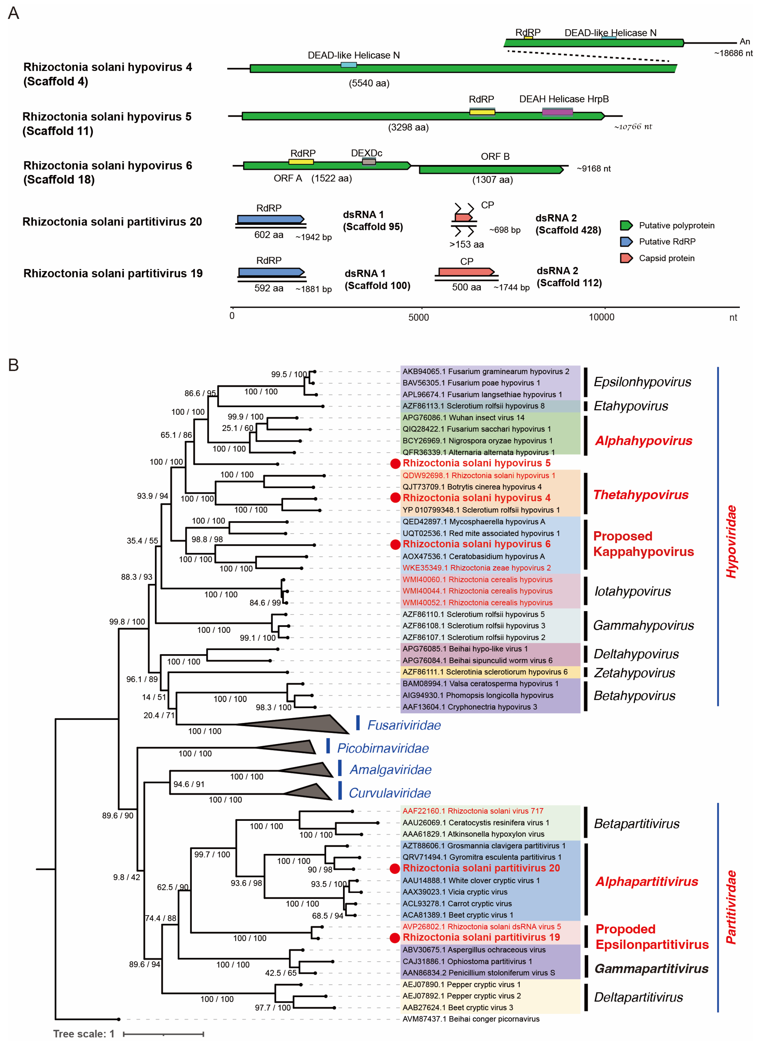 Viruses 16 01152 g006
