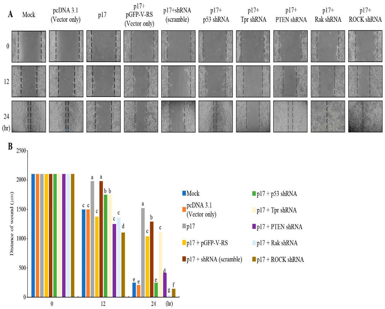Viruses 16 01153 g002 Viruses 16 01153 g002