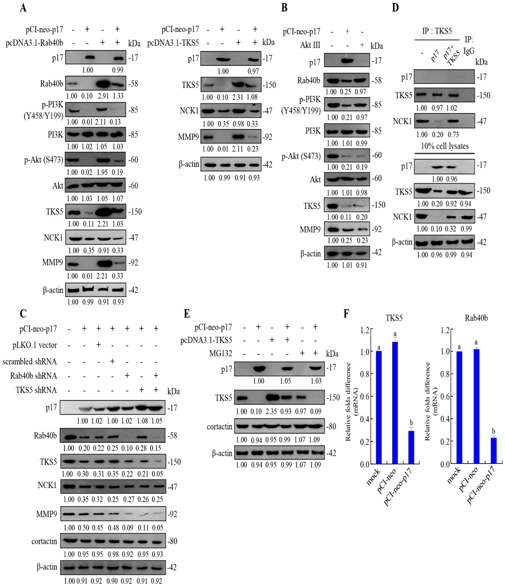 Viruses 16 01153 g006 Viruses 16 01153 g006