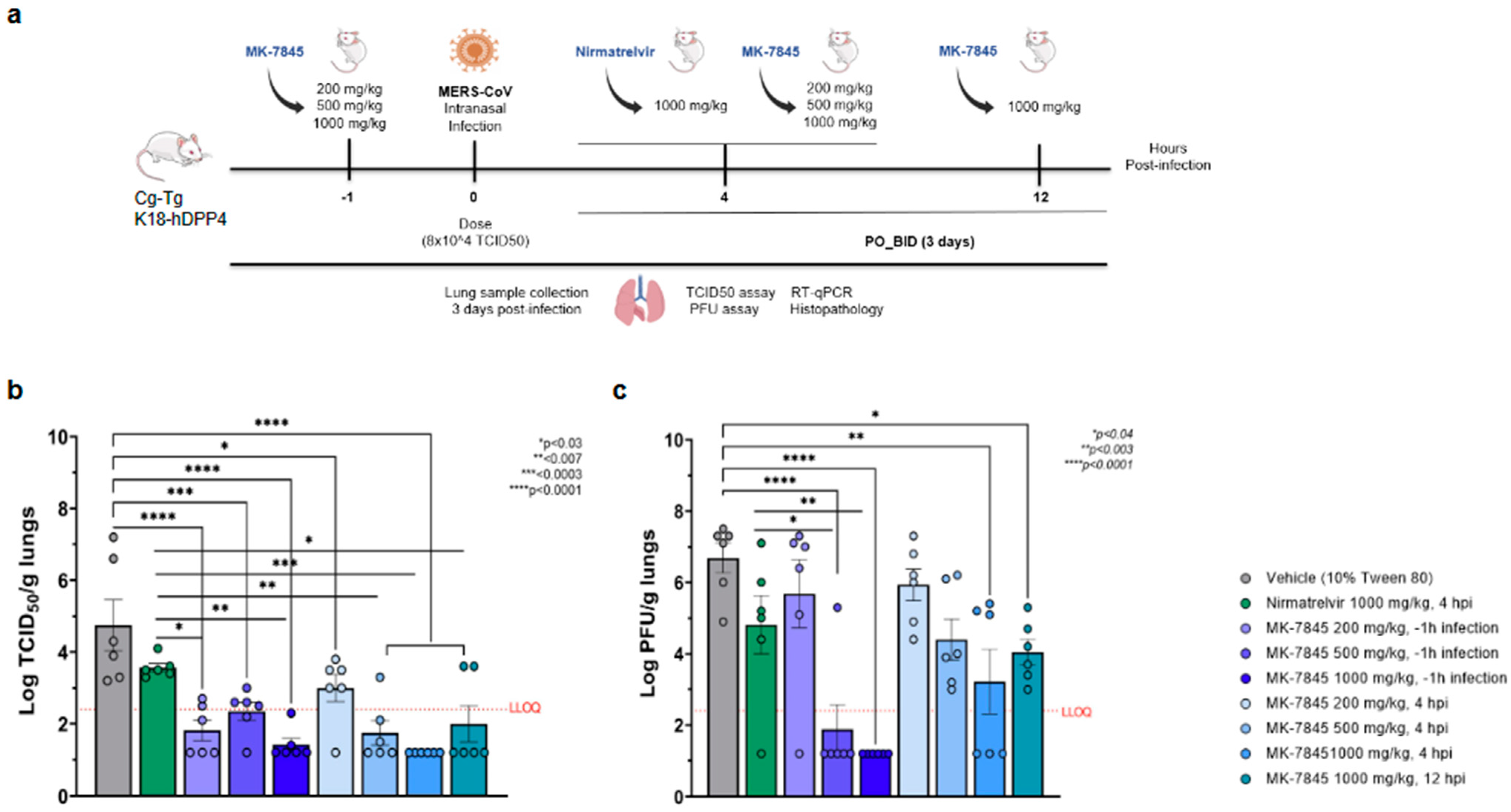 Viruses 16 01158 g004