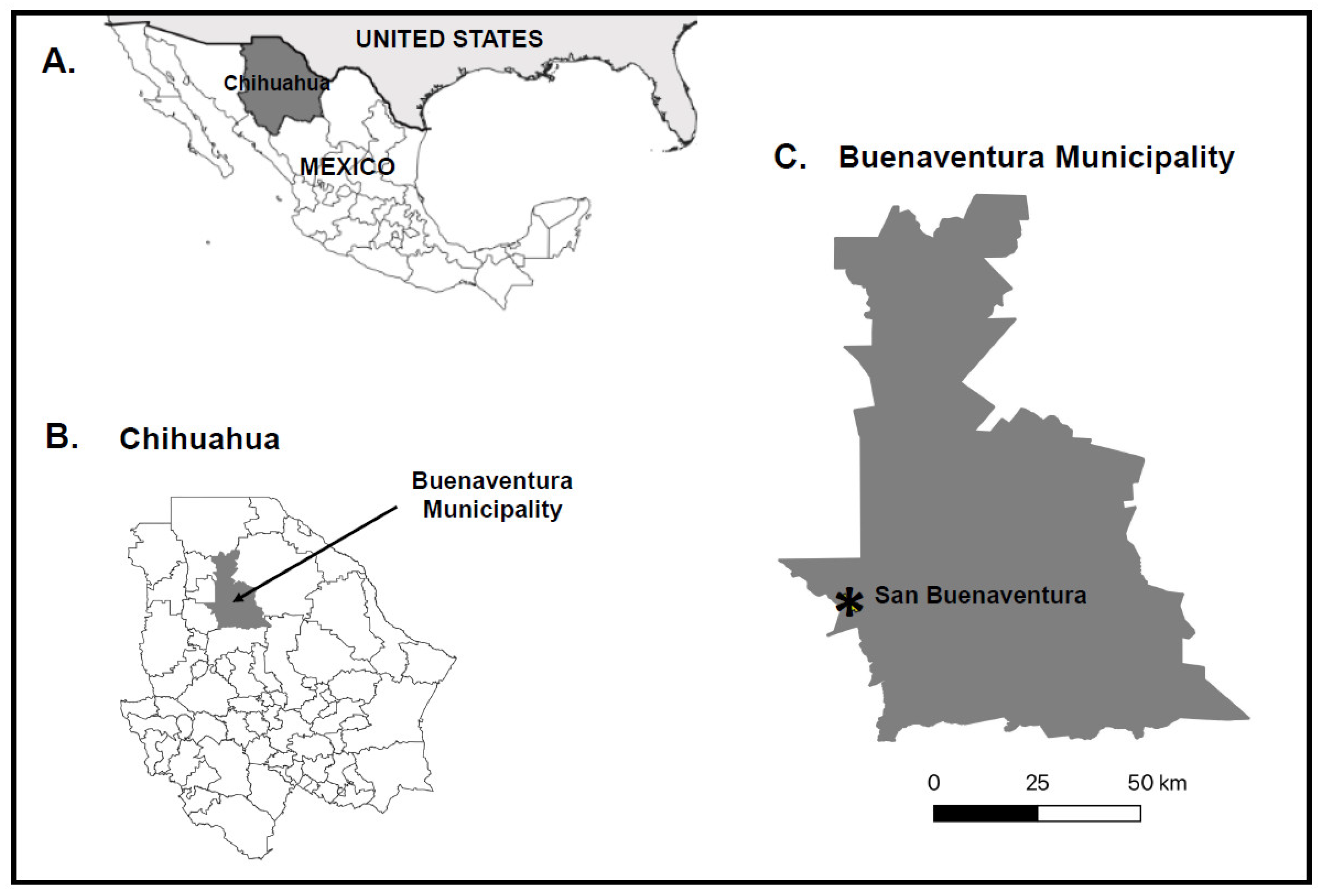 Viruses 16 01160 g001