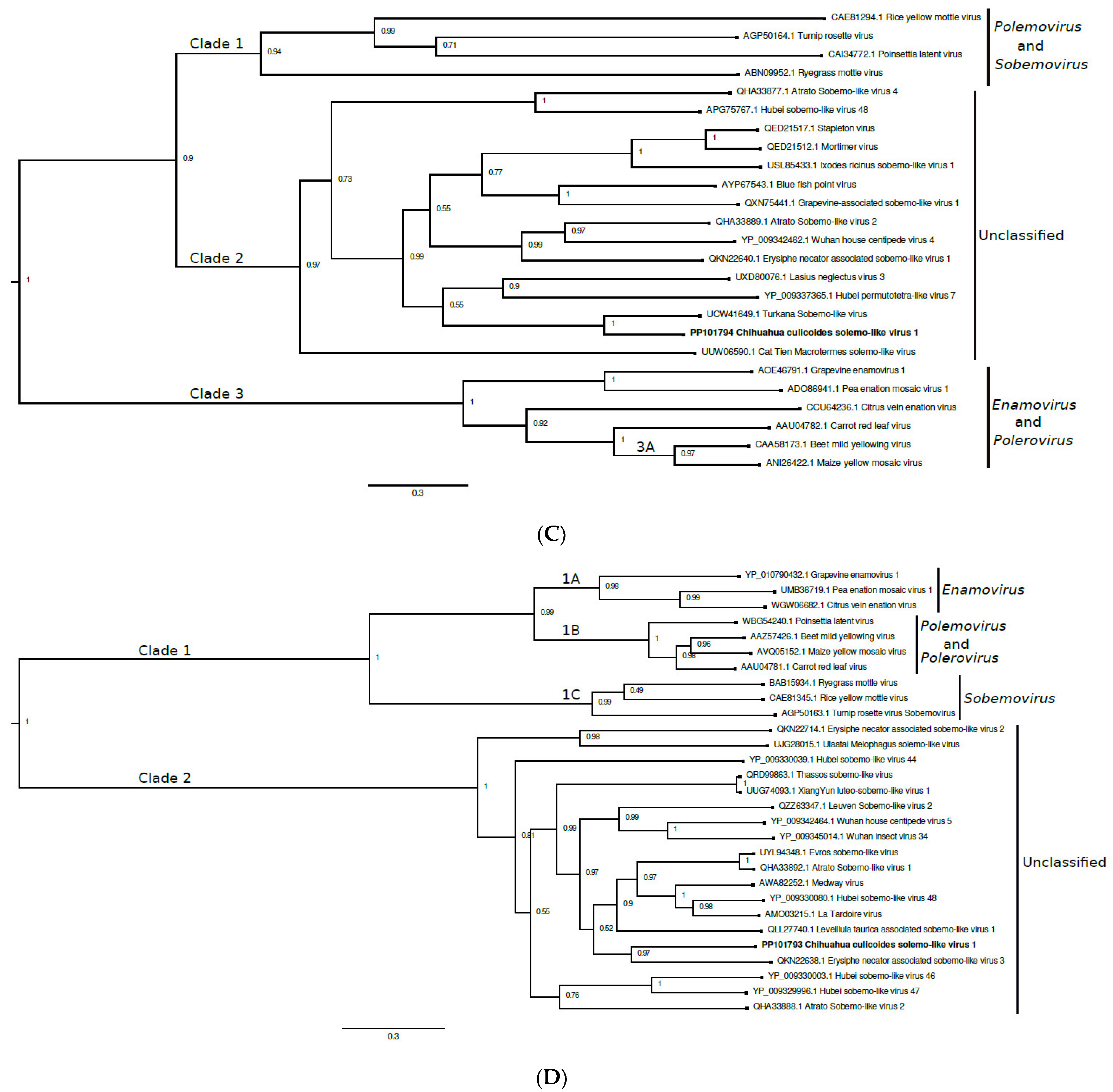 Viruses 16 01160 g002b
