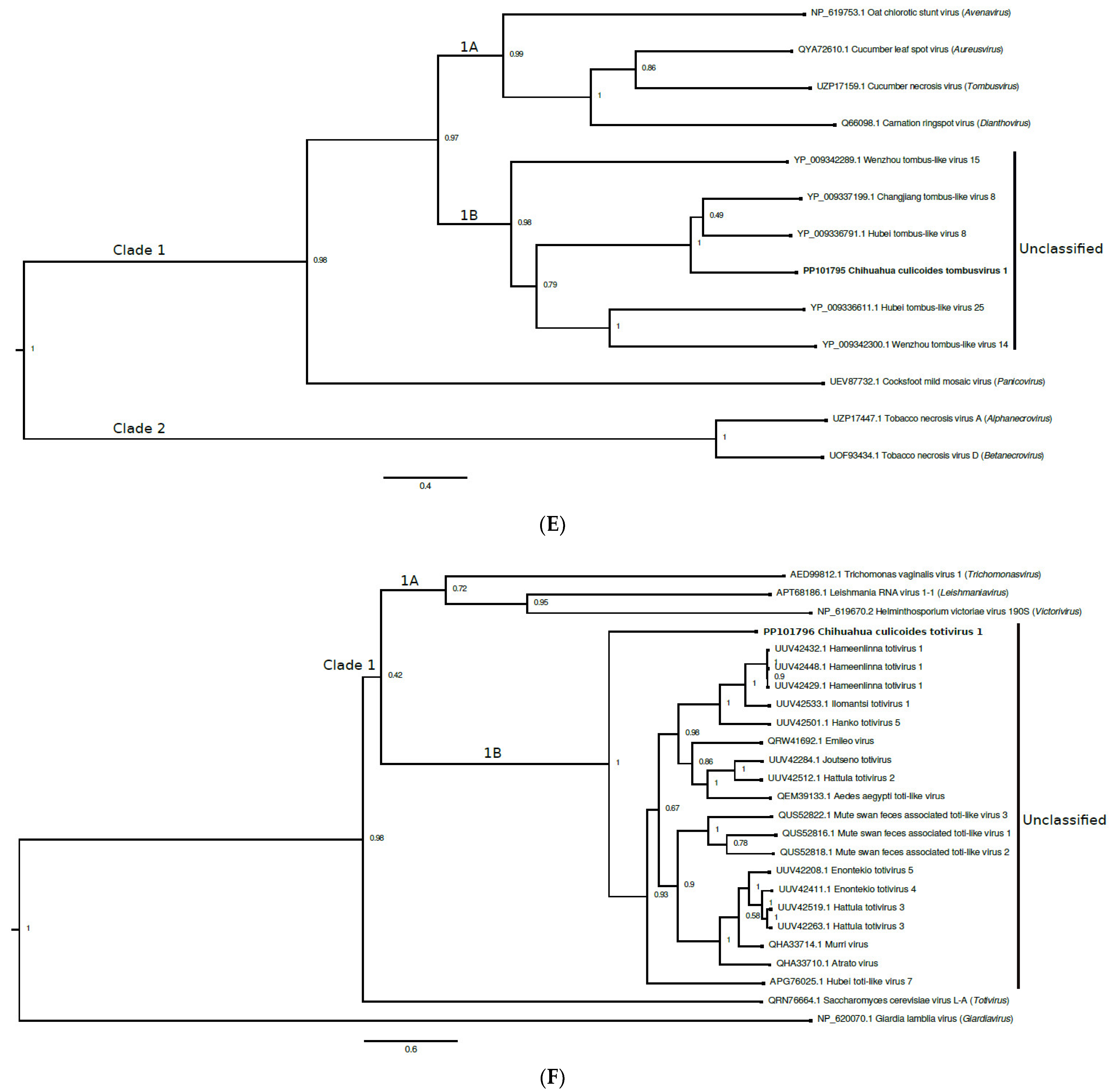 Viruses 16 01160 g002c