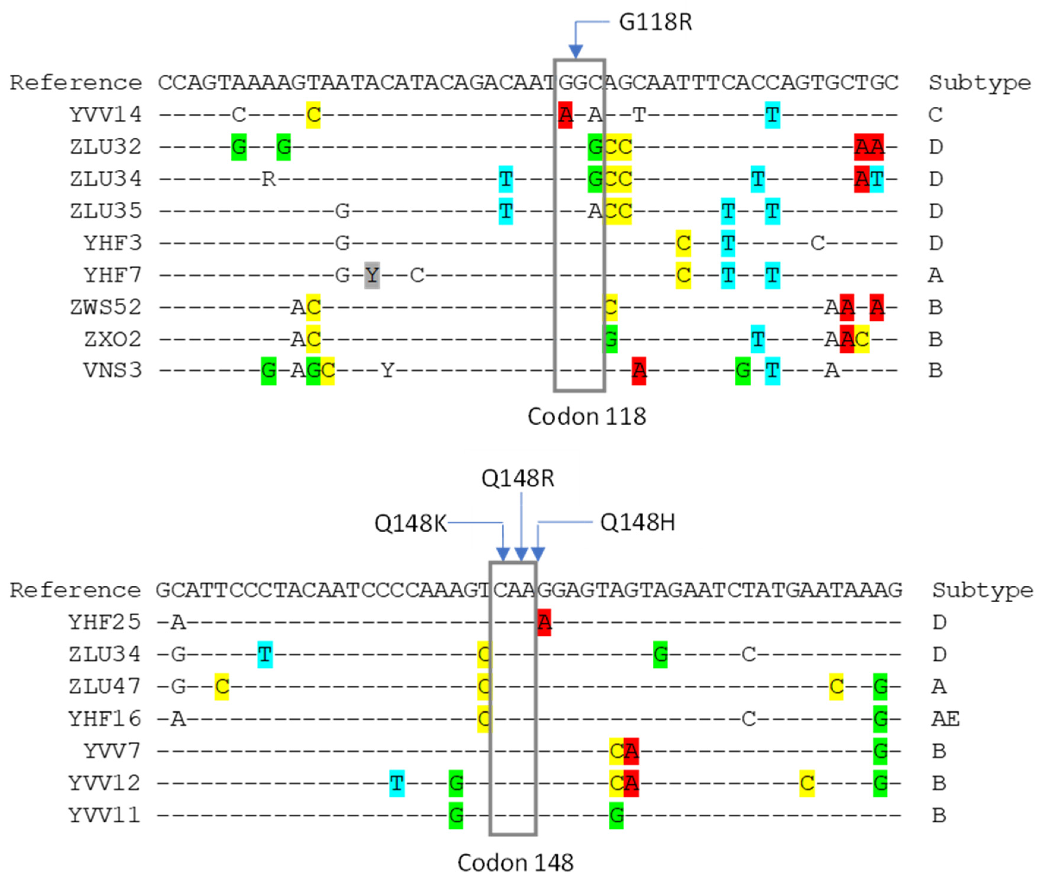 Viruses 16 01162 g001