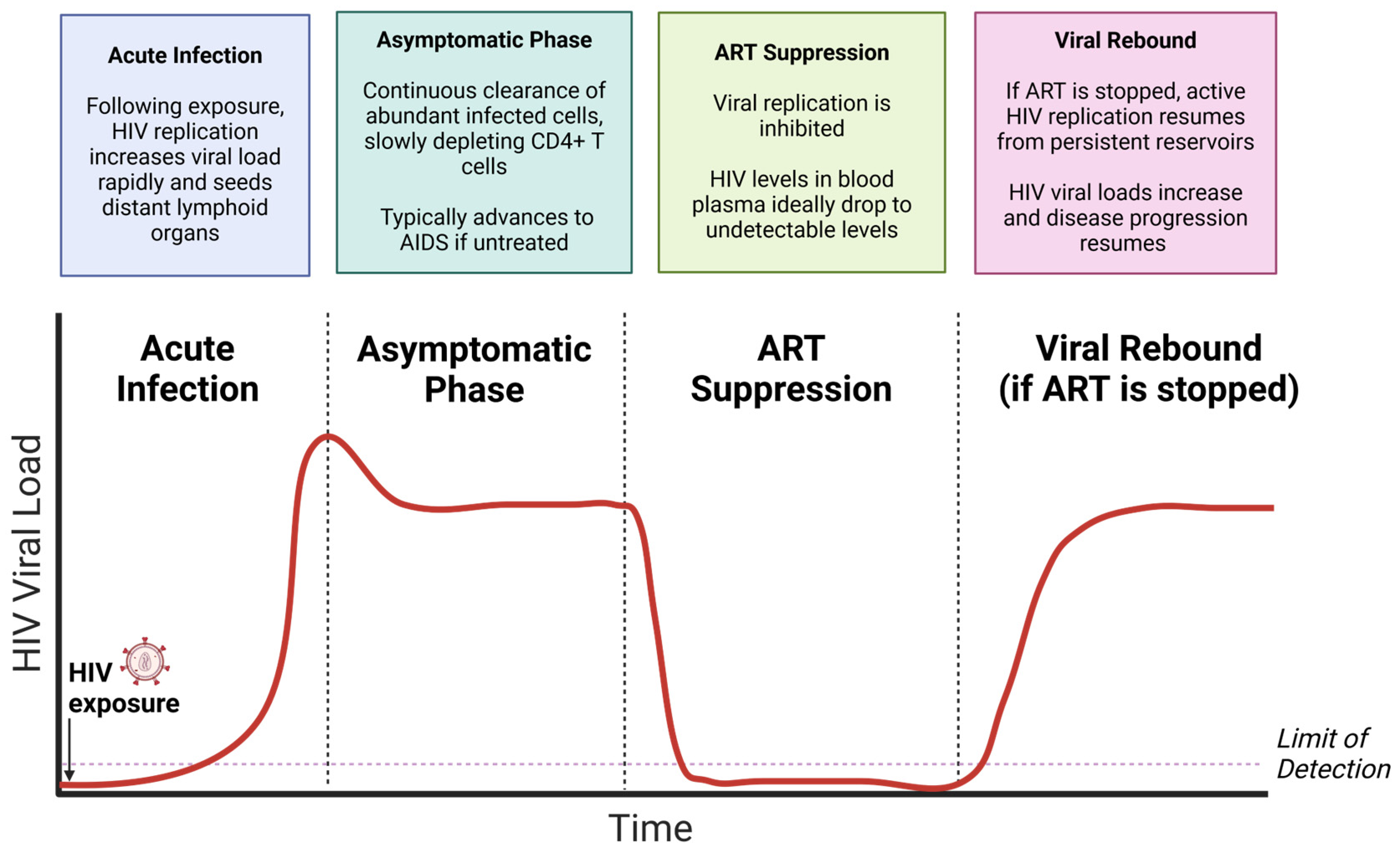 Viruses 16 01163 g002 Viruses 16 01163 g002