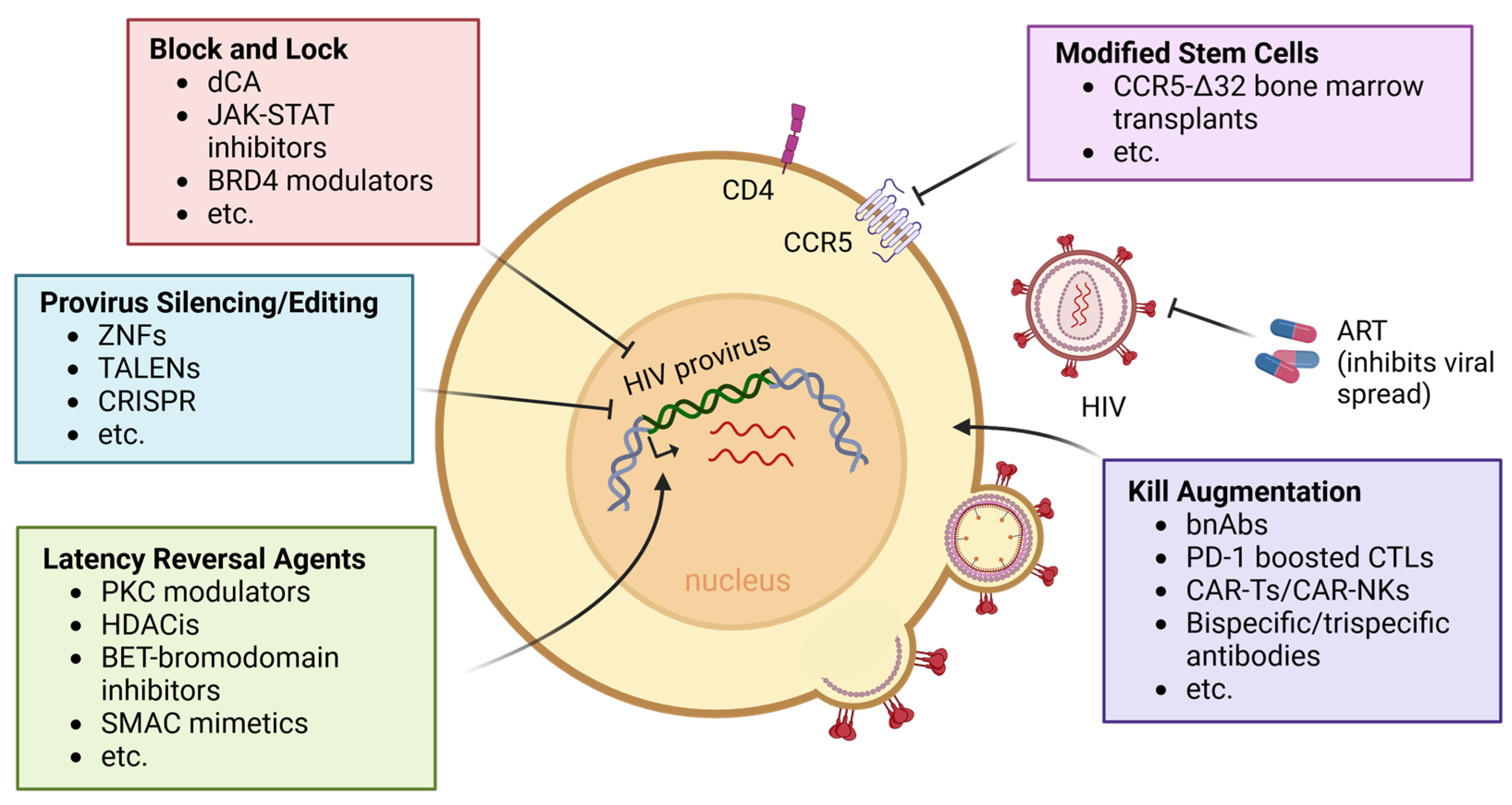 Viruses 16 01163 g004 Viruses 16 01163 g004