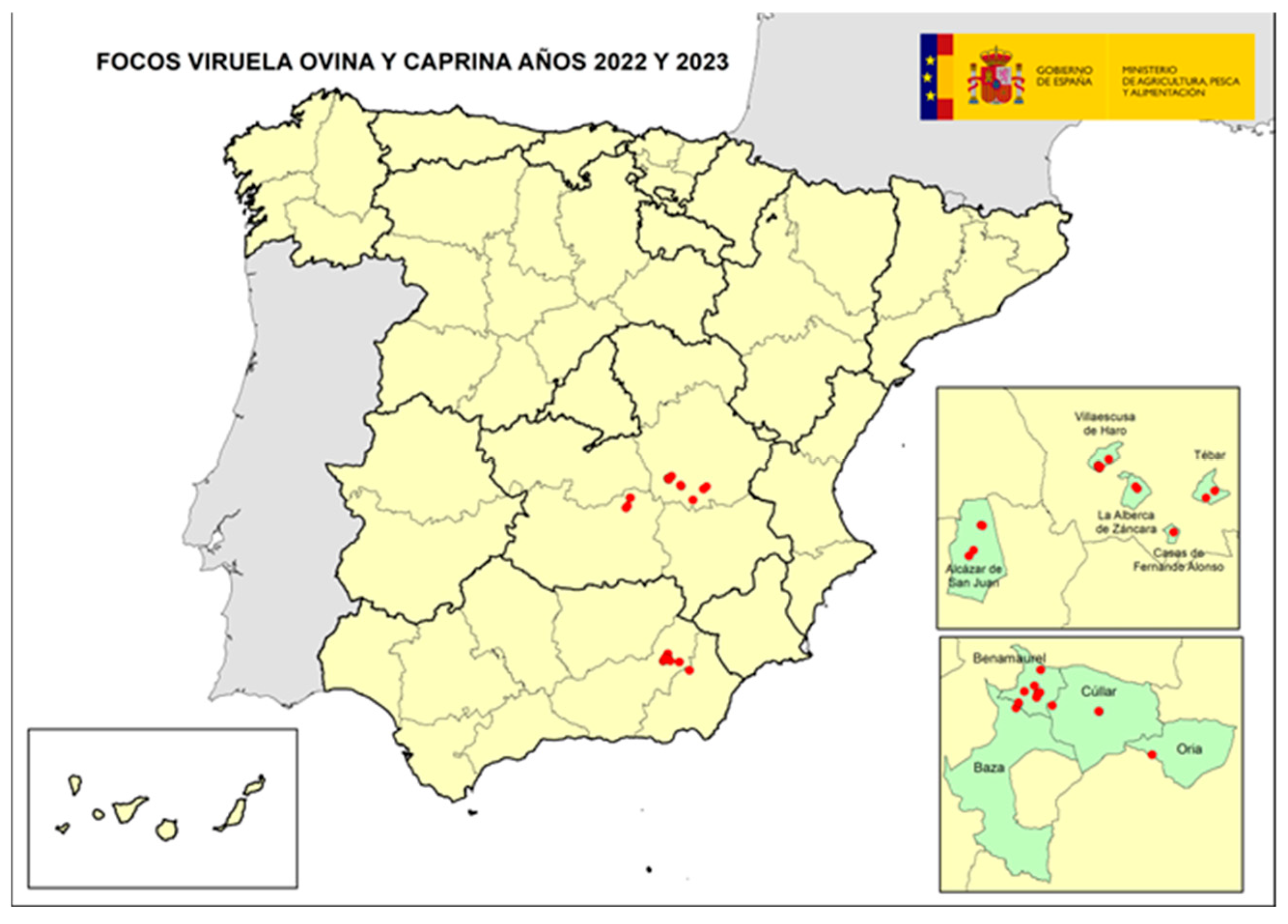 Viruses 16 01164 g001