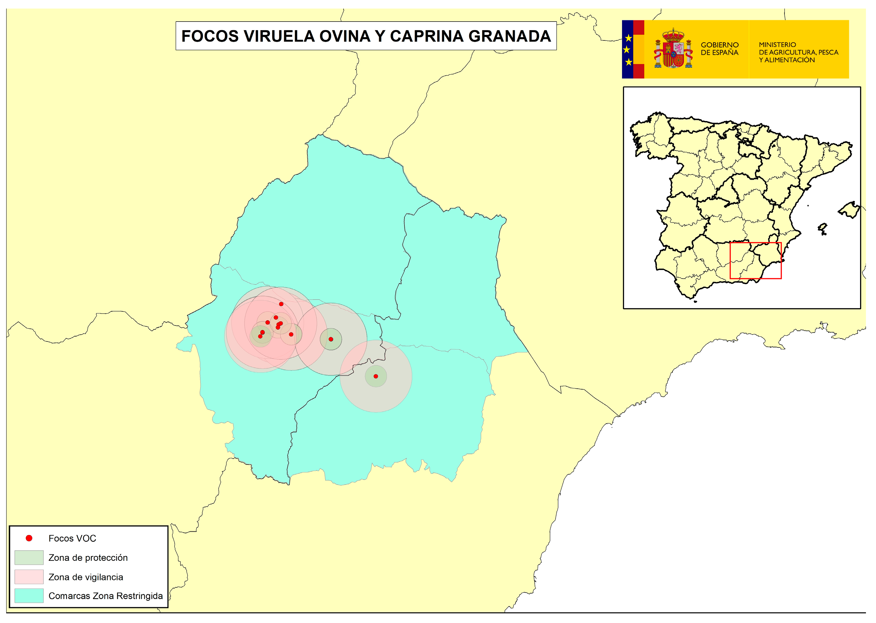 Viruses 16 01164 g008