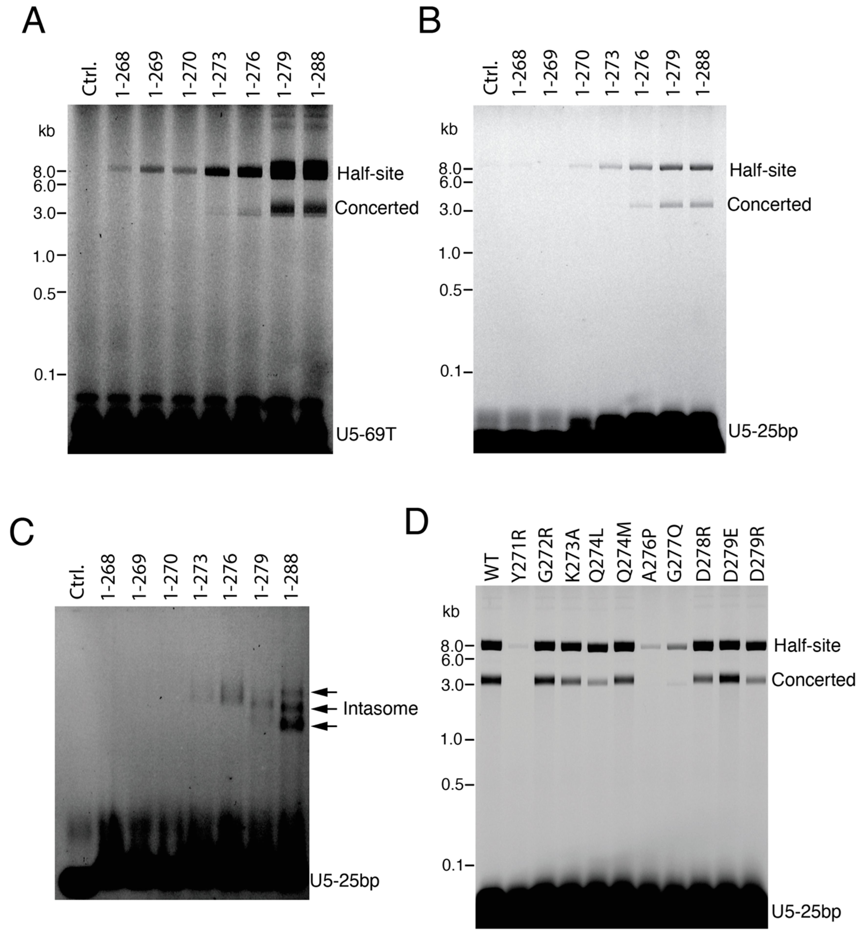 Viruses 16 01166 g006