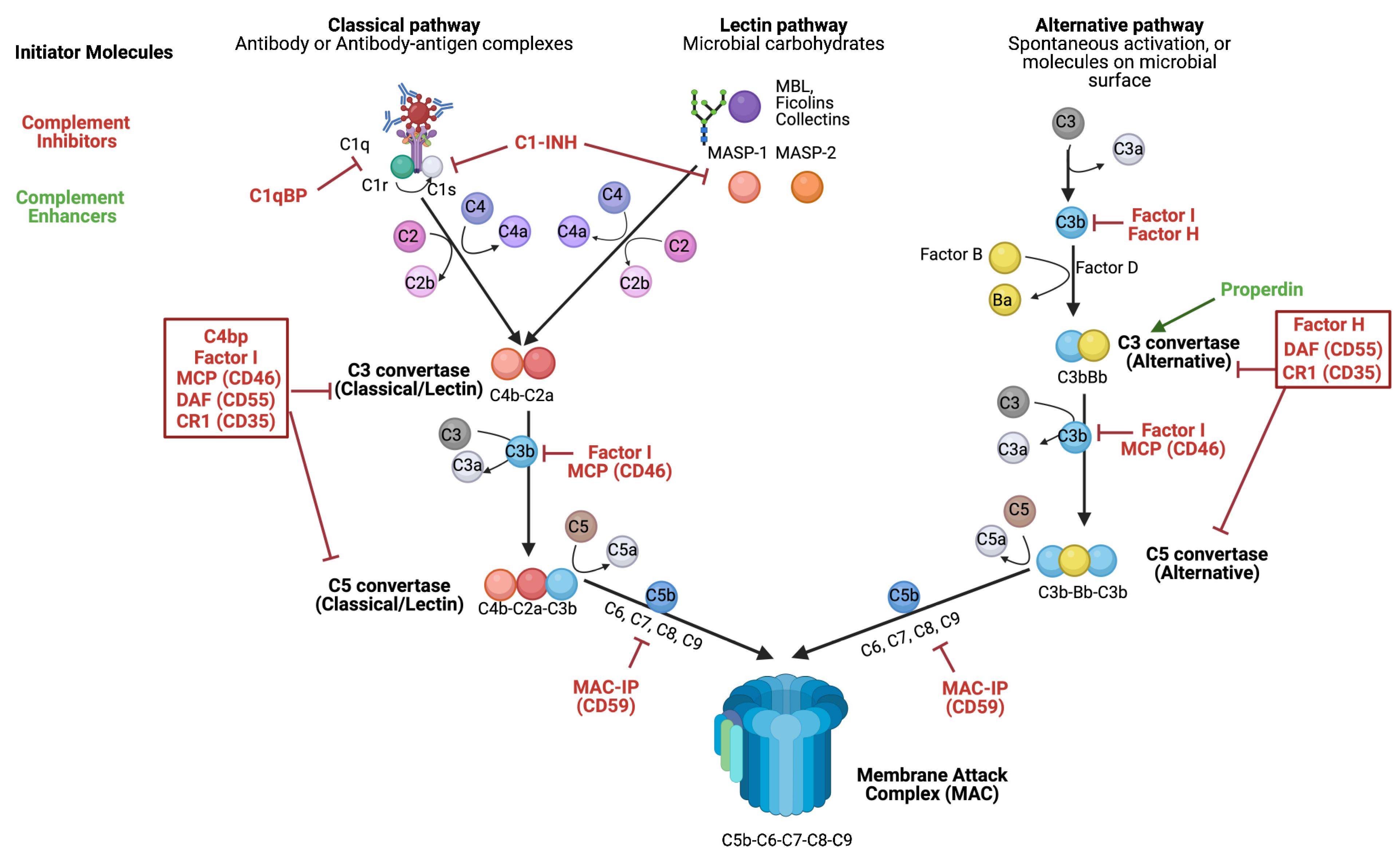 Viruses 16 01171 g001 Viruses 16 01171 g001