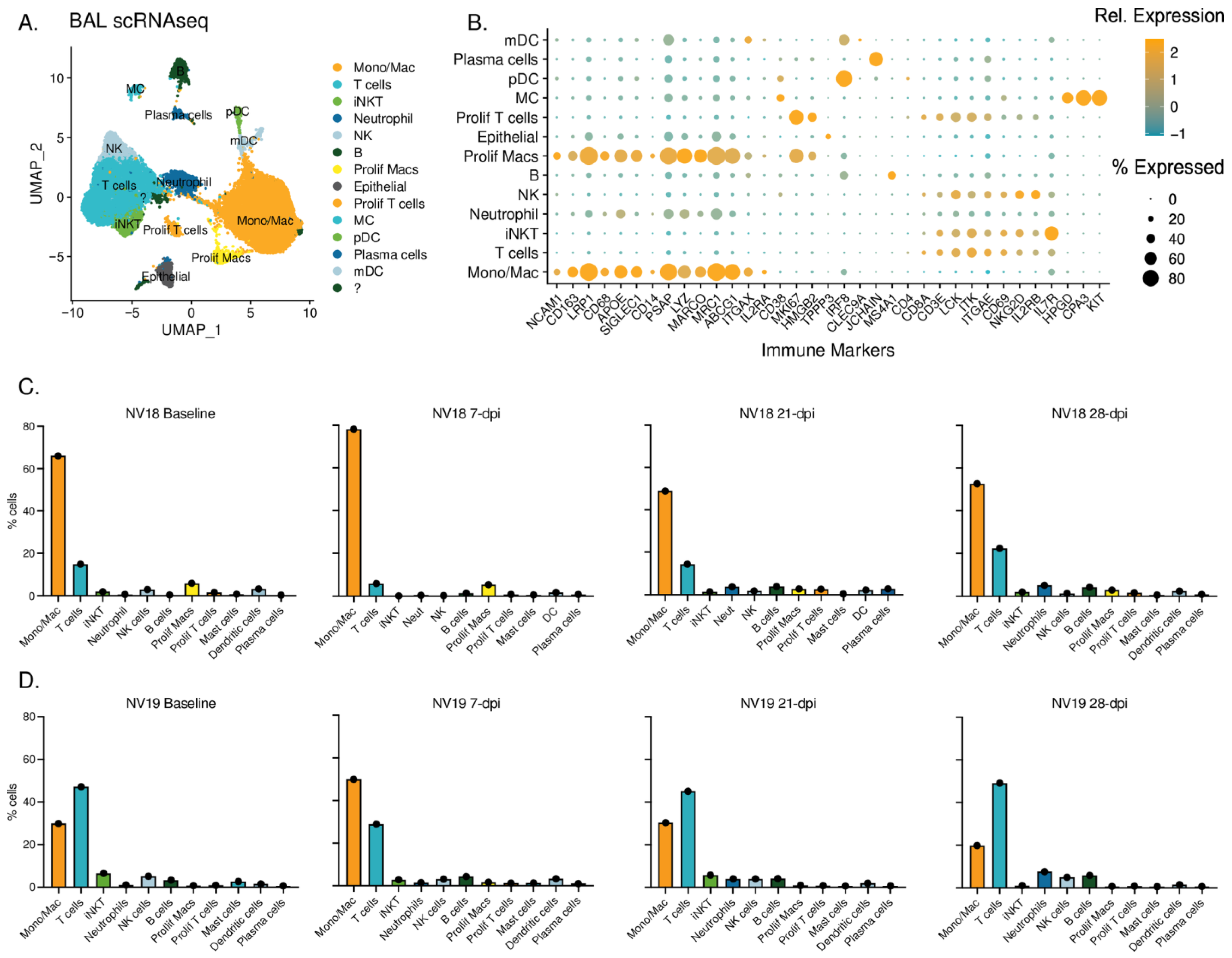 Viruses 16 01173 g008