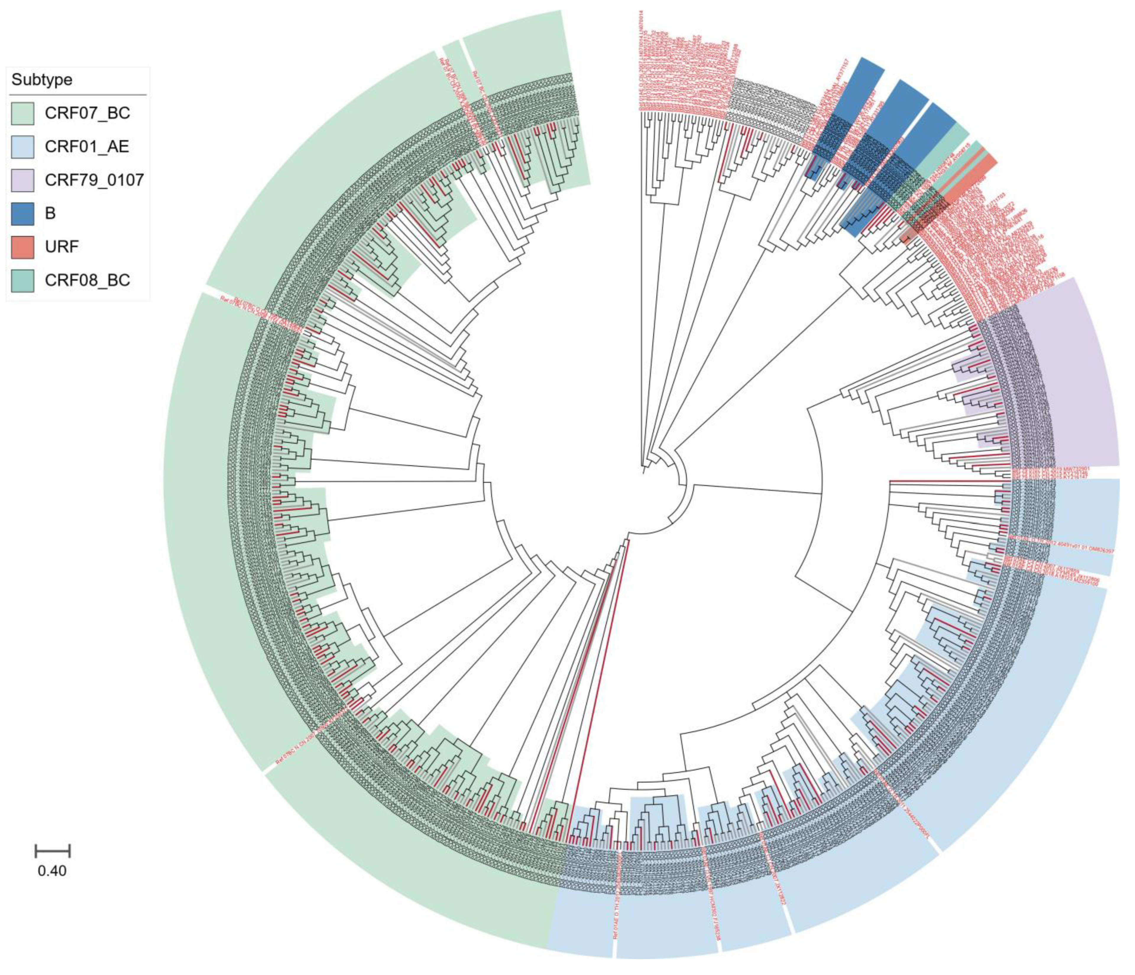 Viruses 16 01174 g002