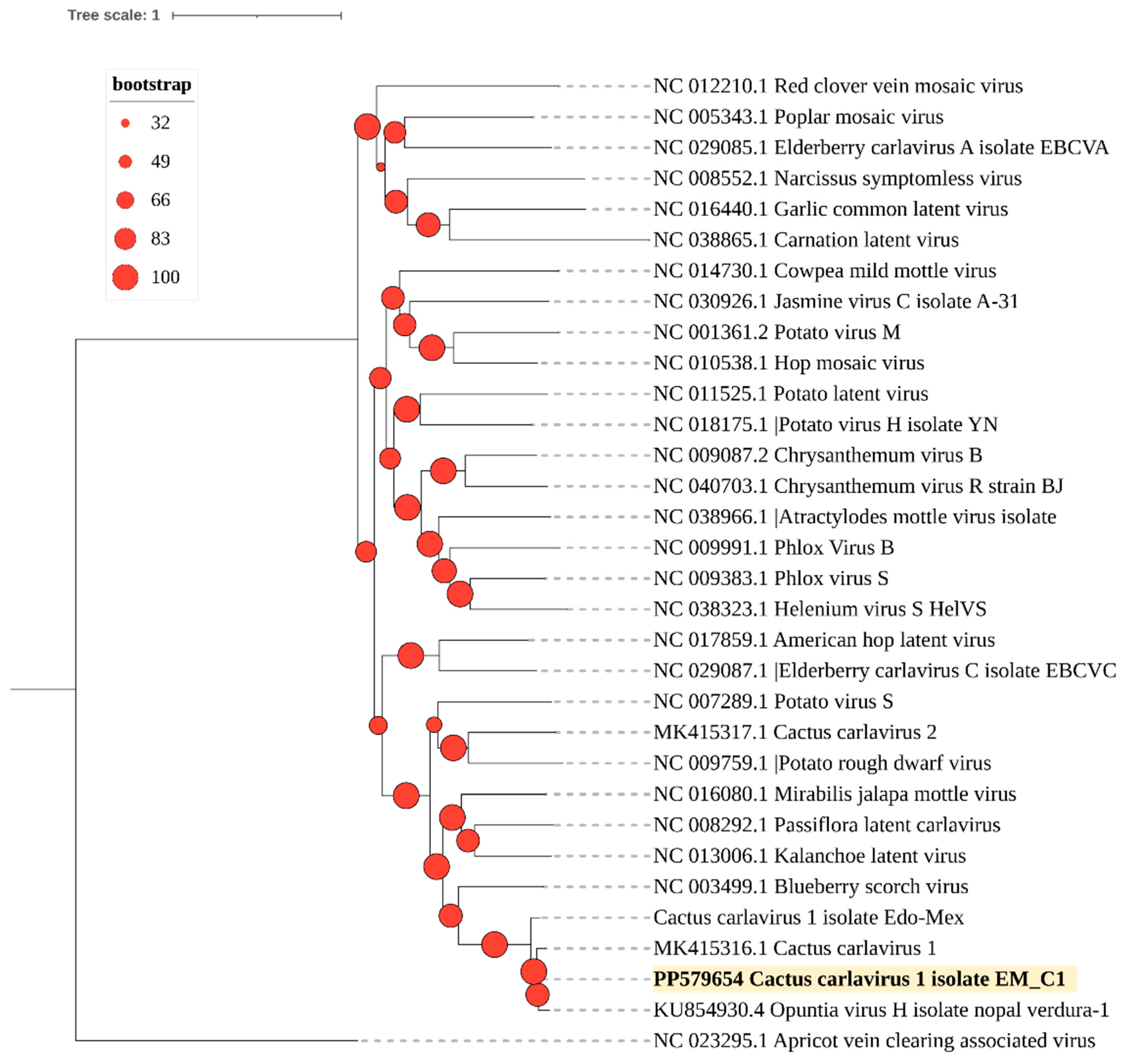 Viruses 16 01177 g003