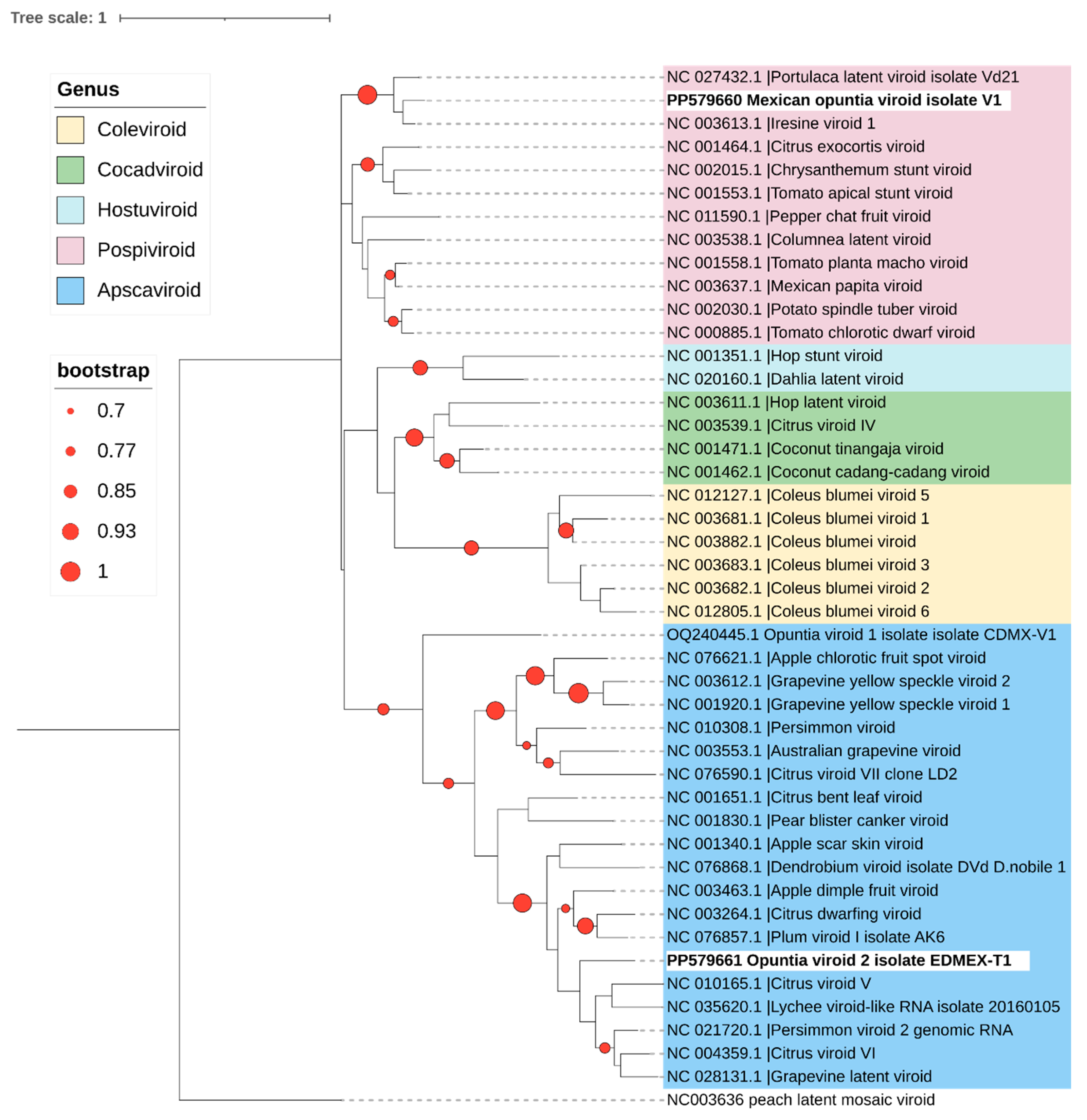 Viruses 16 01177 g006