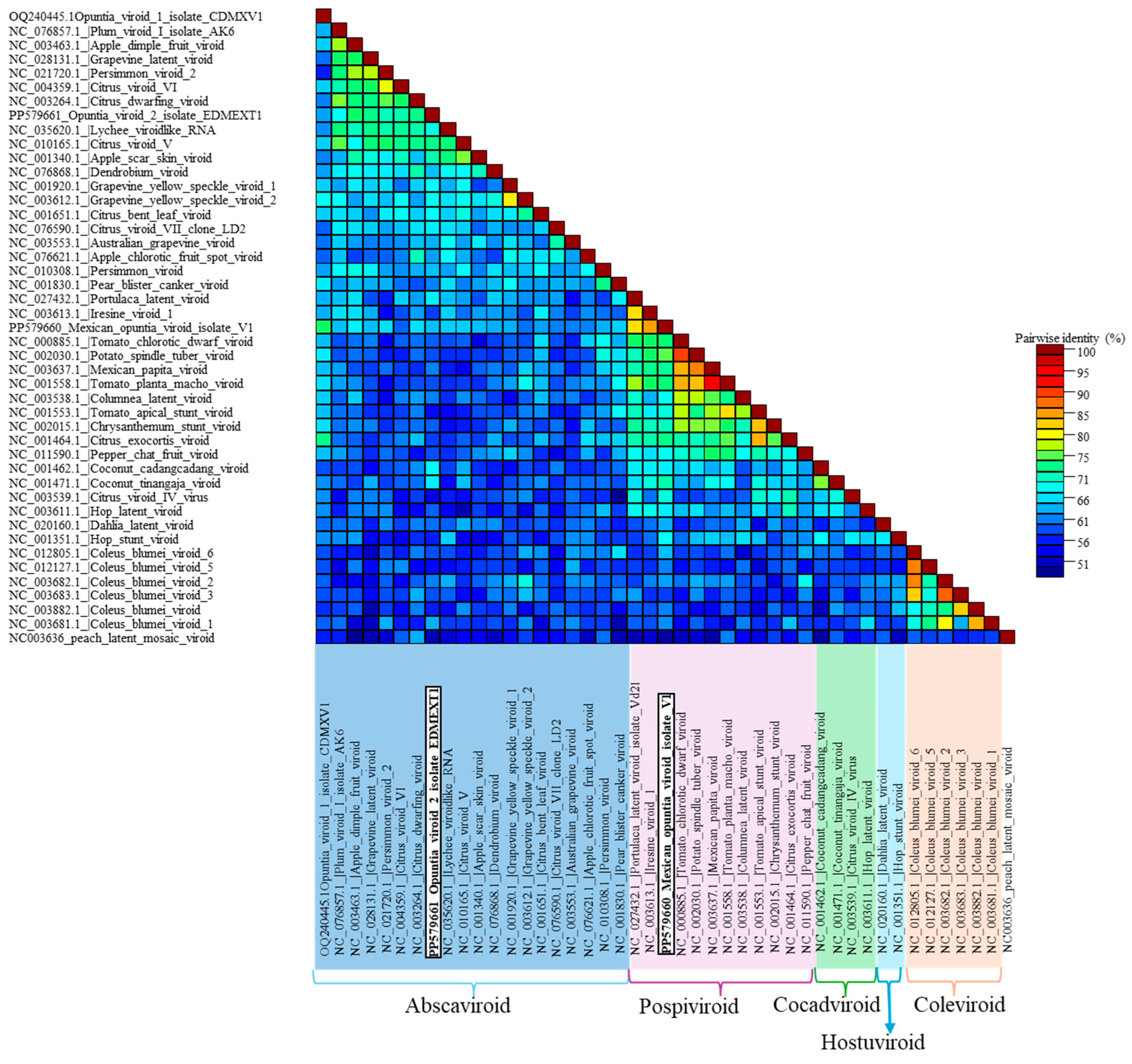 Viruses 16 01177 g007