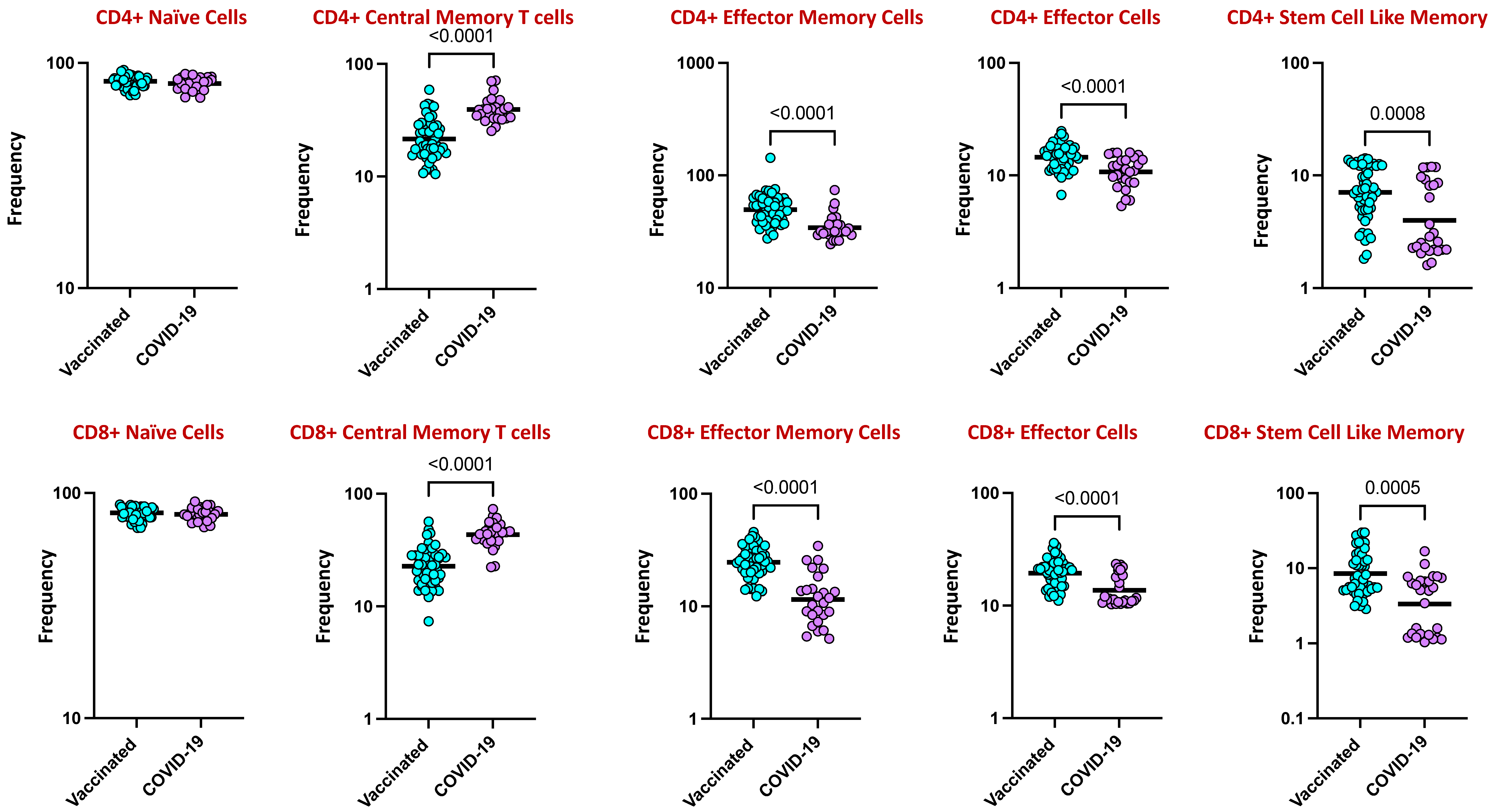 Viruses 16 01178 g004