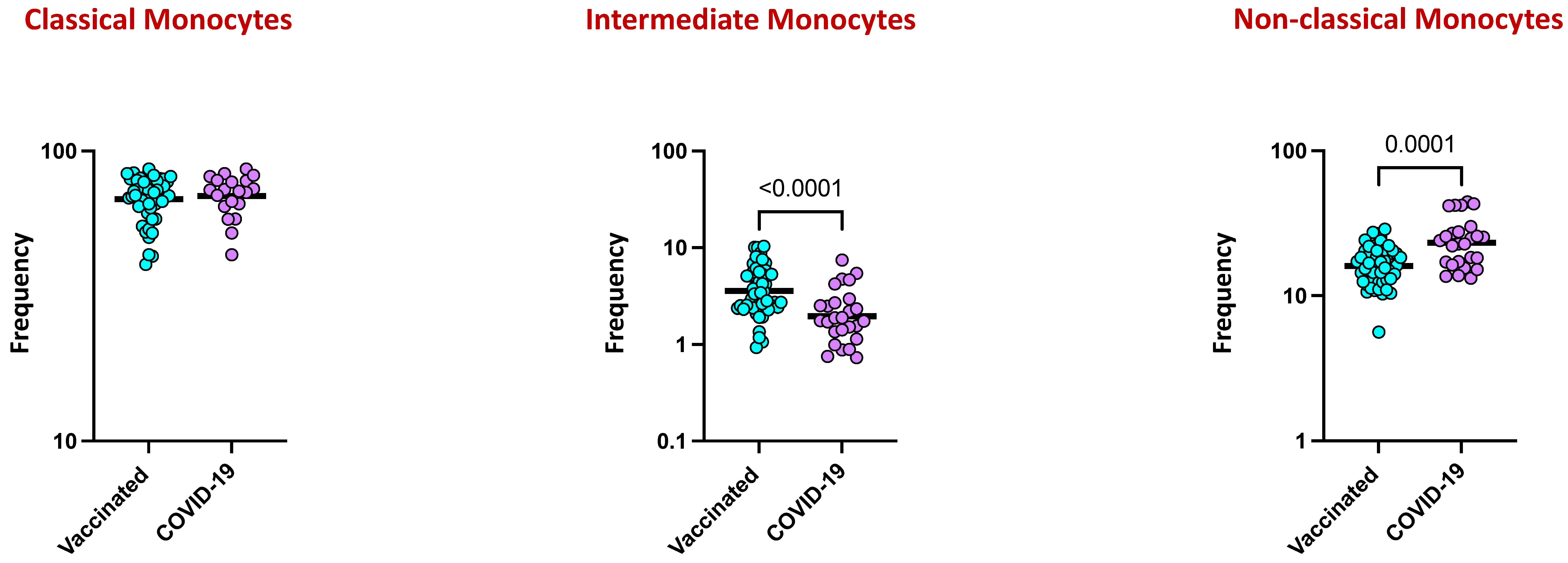 Viruses 16 01178 g005