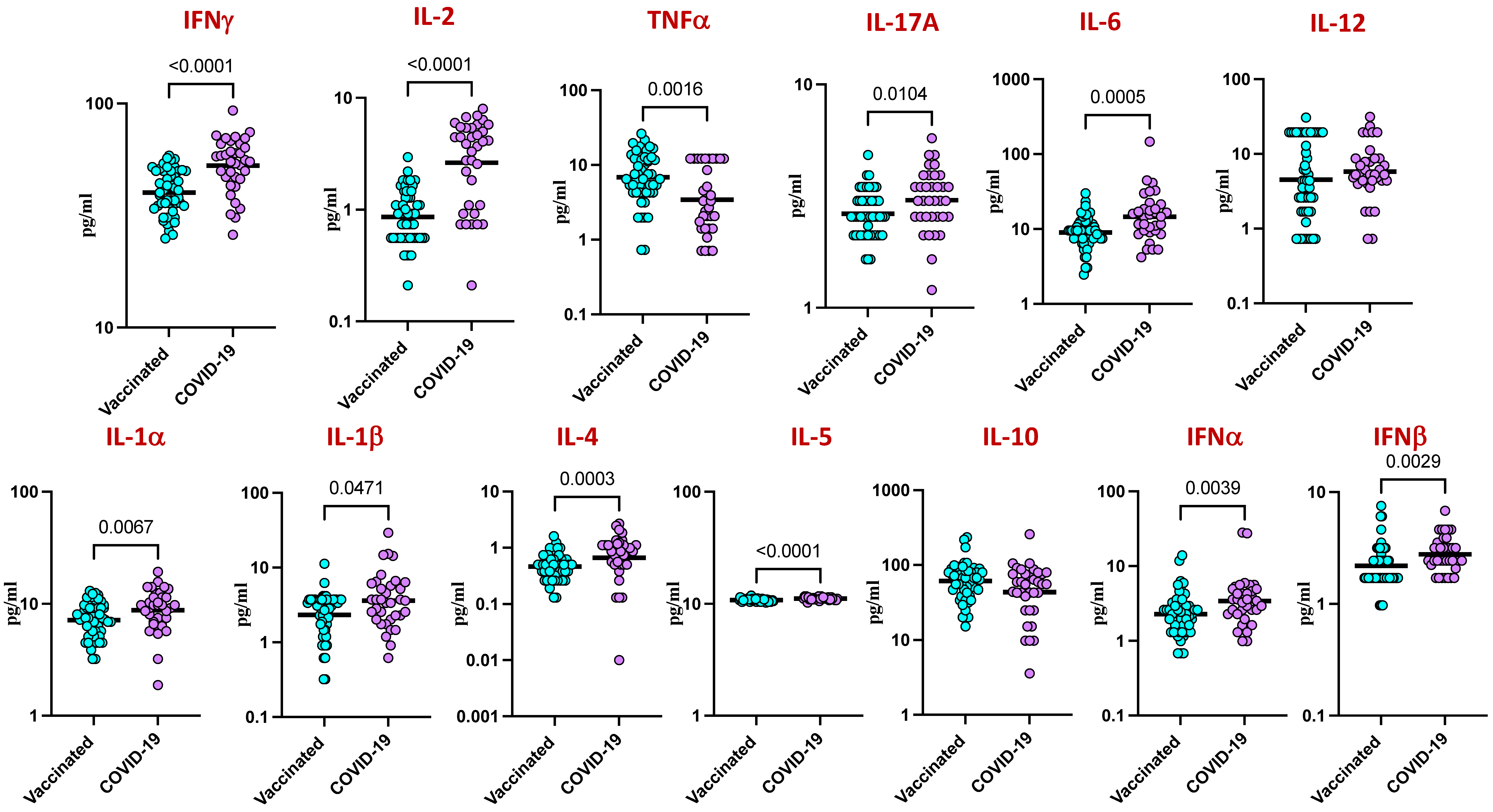 Viruses 16 01178 g006