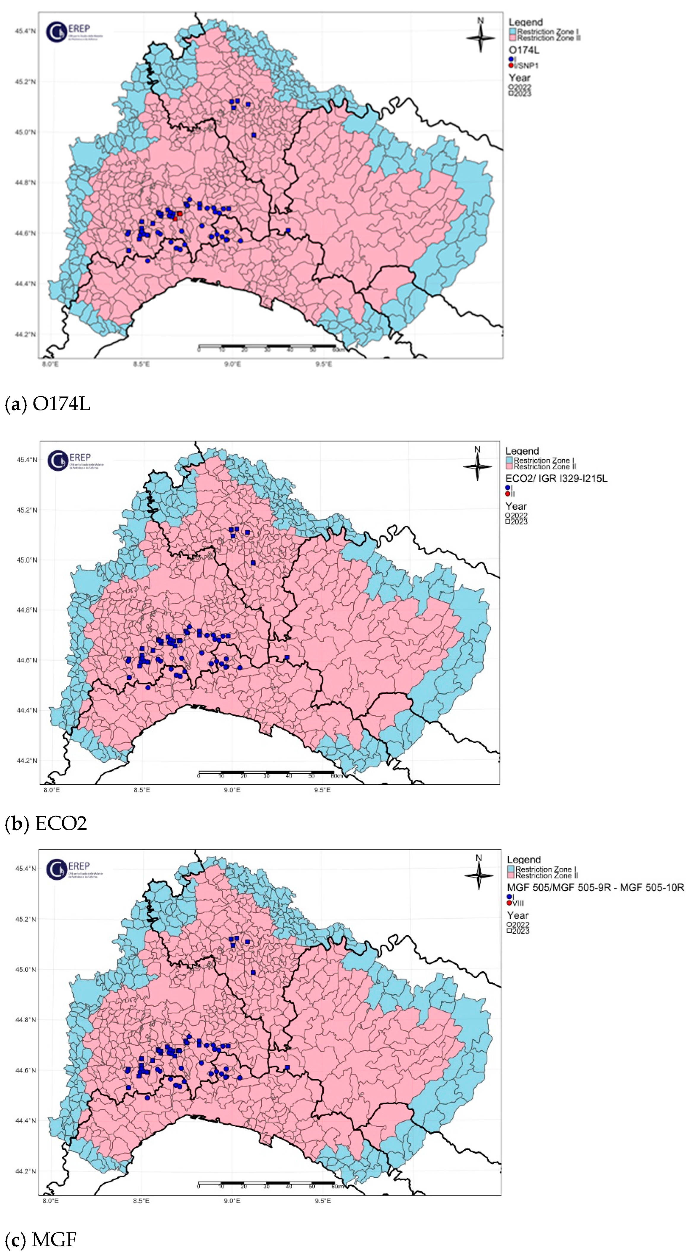 Viruses 16 01185 g004