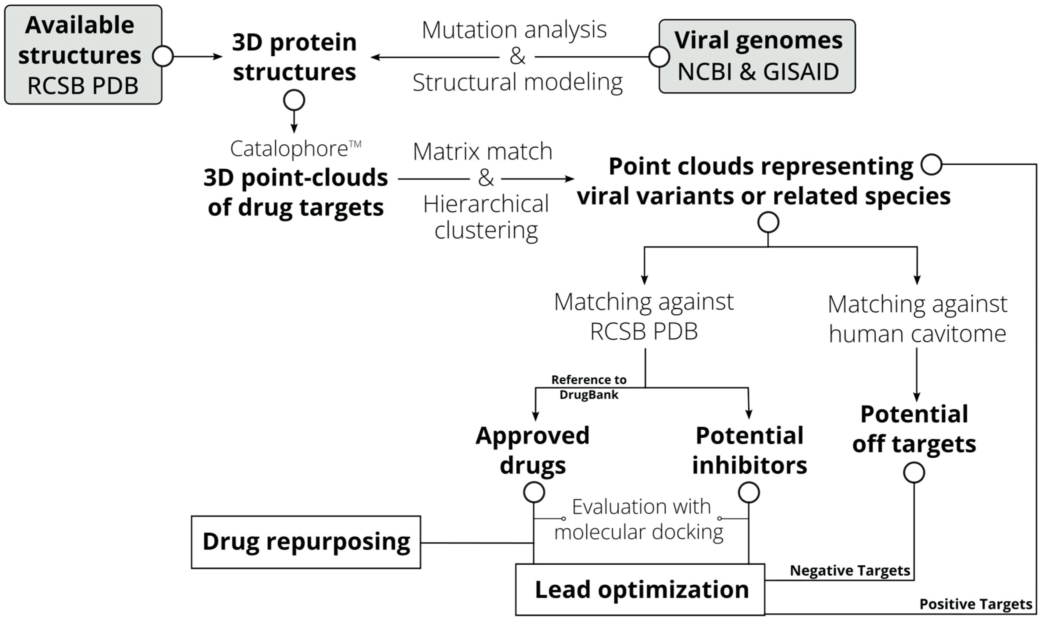Viruses 16 01186 g001
