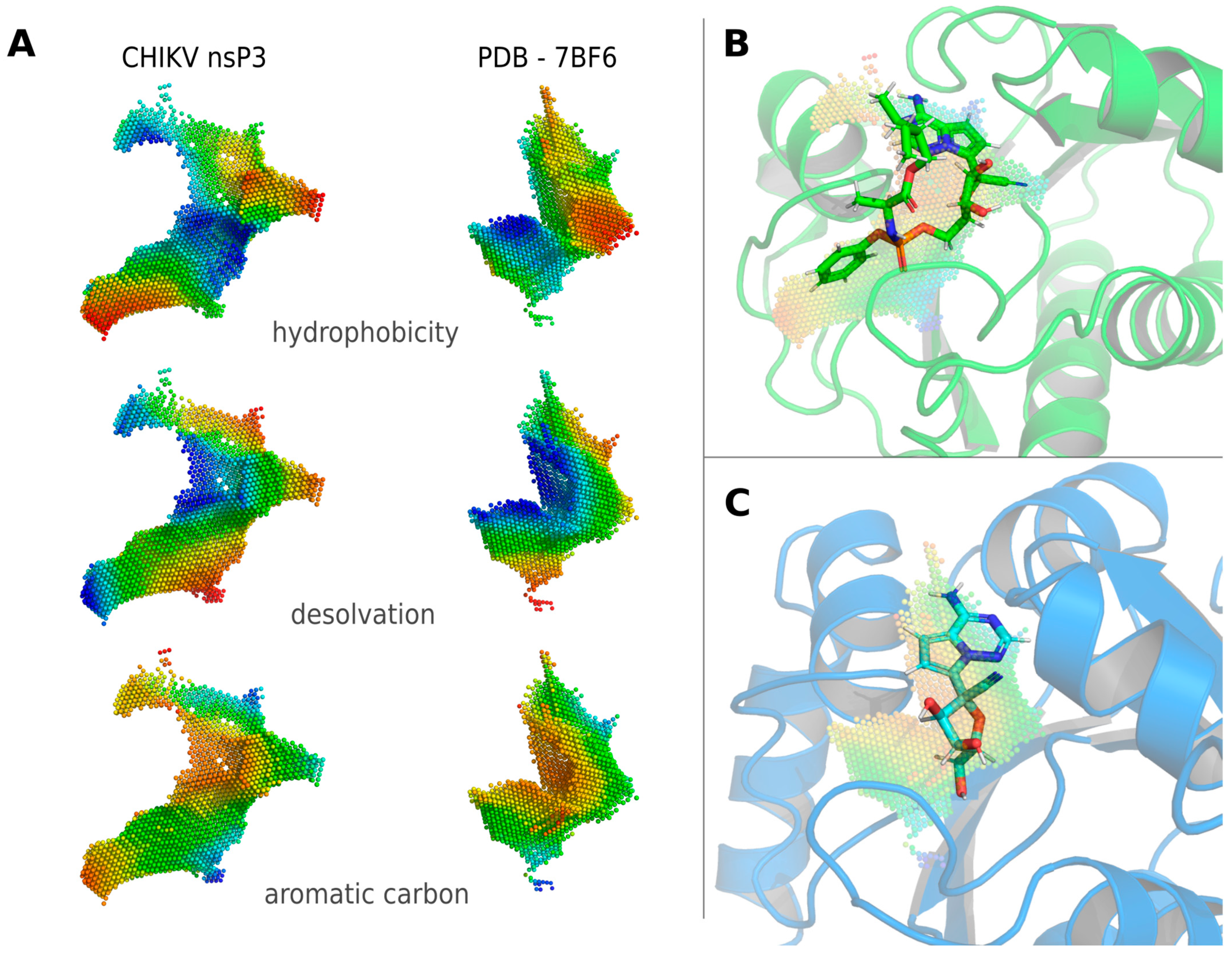 Viruses 16 01186 g002