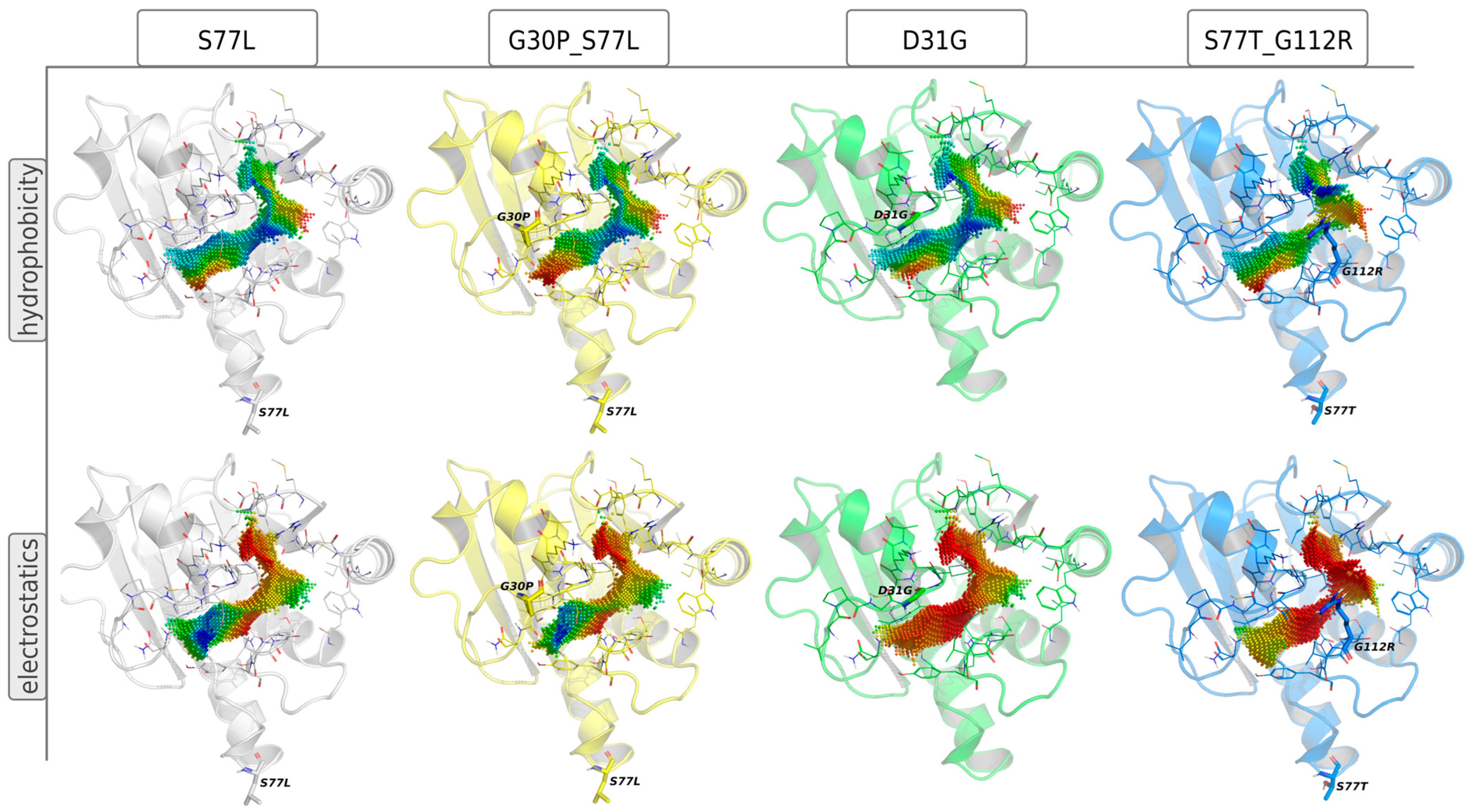 Viruses 16 01186 g007
