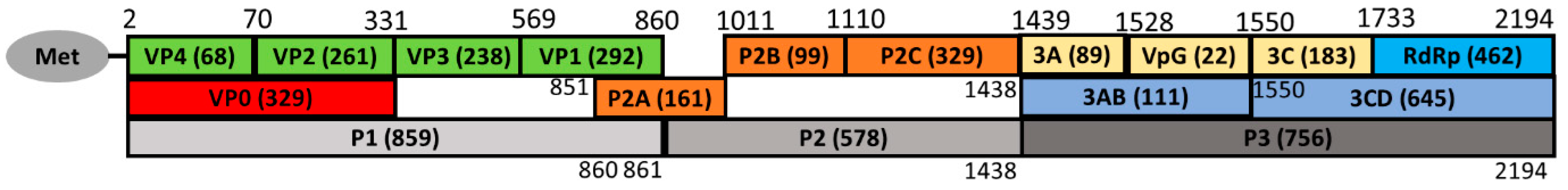 Viruses 16 01187 g002 Viruses 16 01187 g002