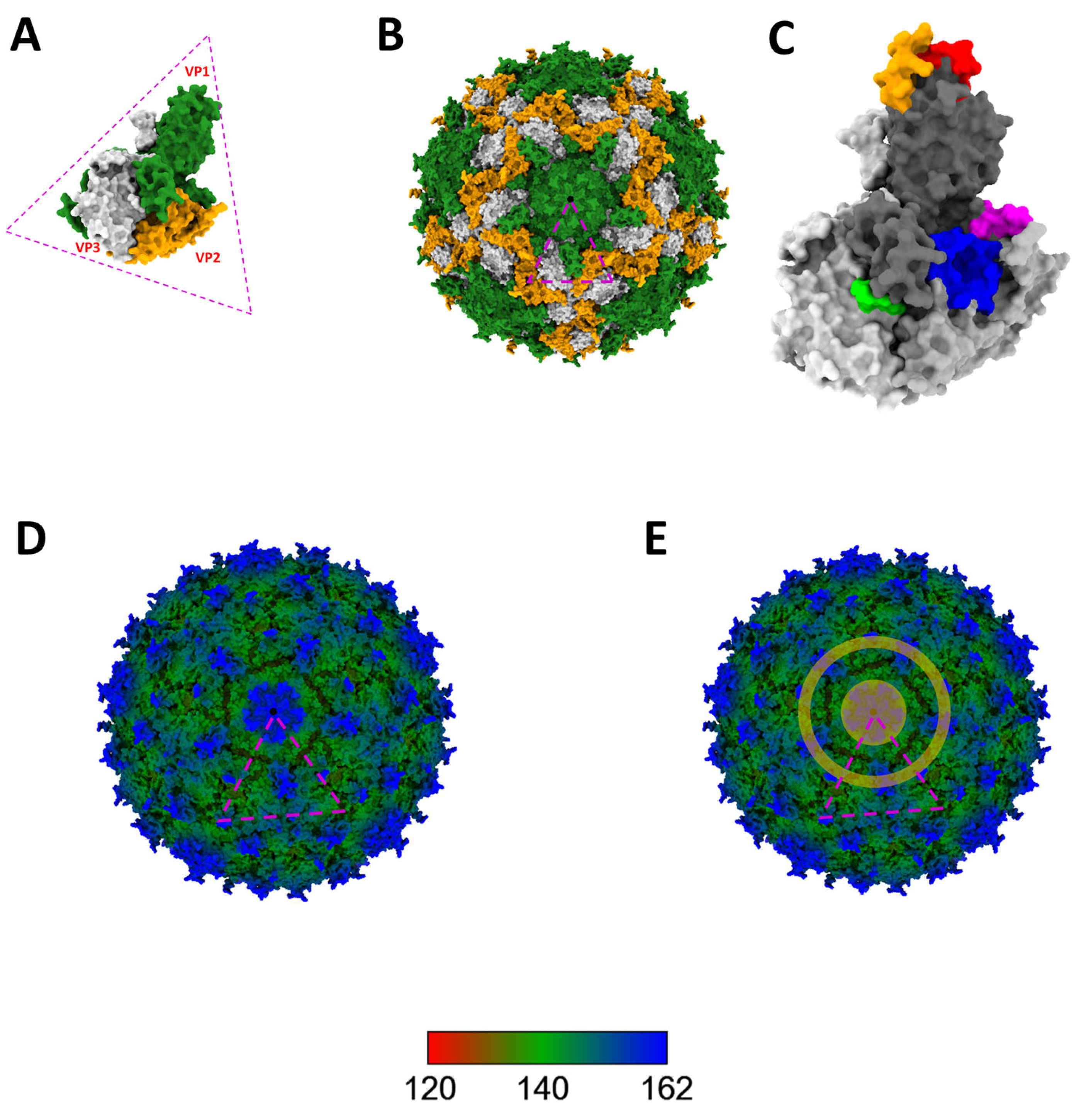 Viruses 16 01188 g004