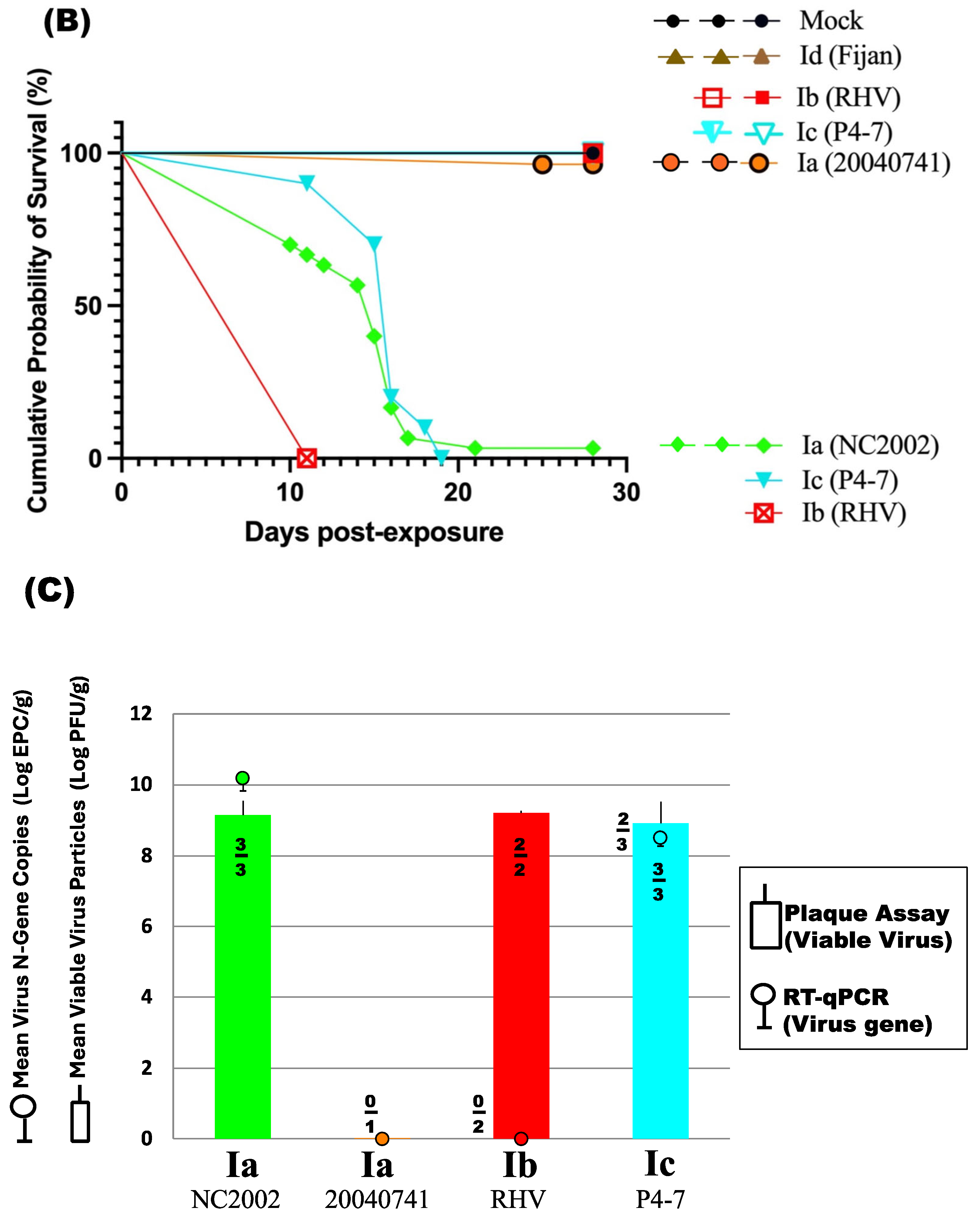 Viruses 16 01193 g005b