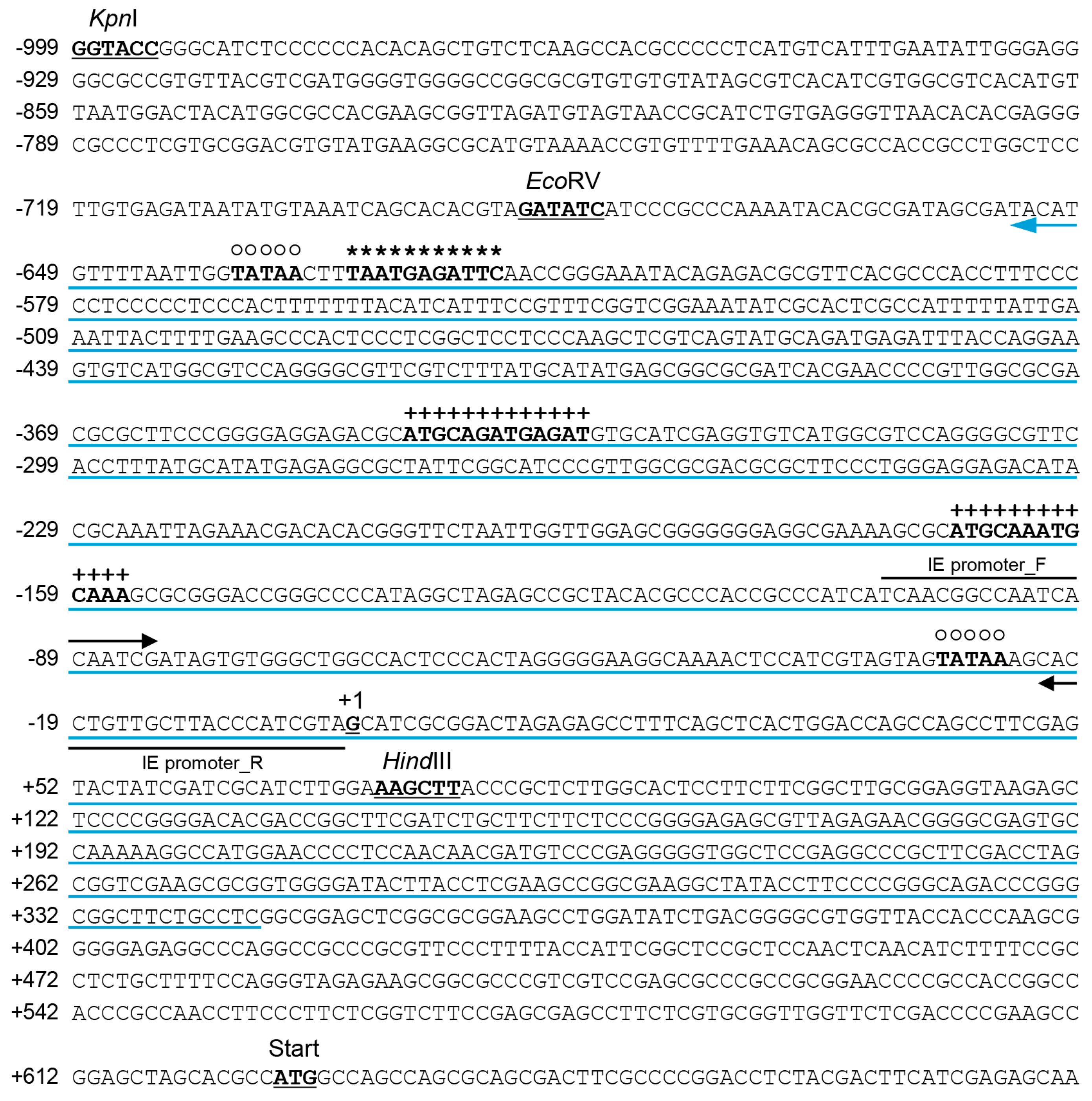 Viruses 16 01195 g003 Viruses 16 01195 g003