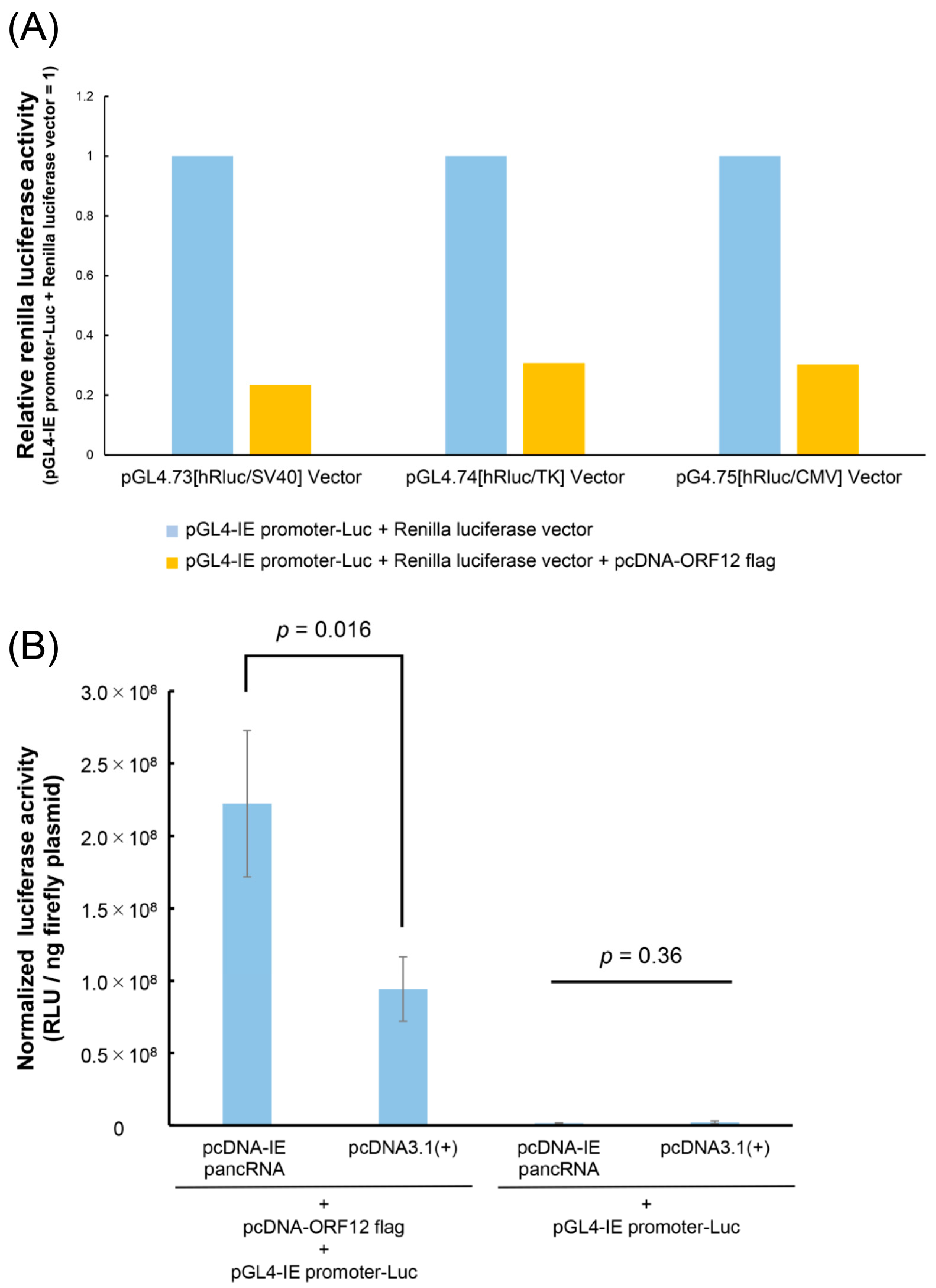 Viruses 16 01195 g005 Viruses 16 01195 g005