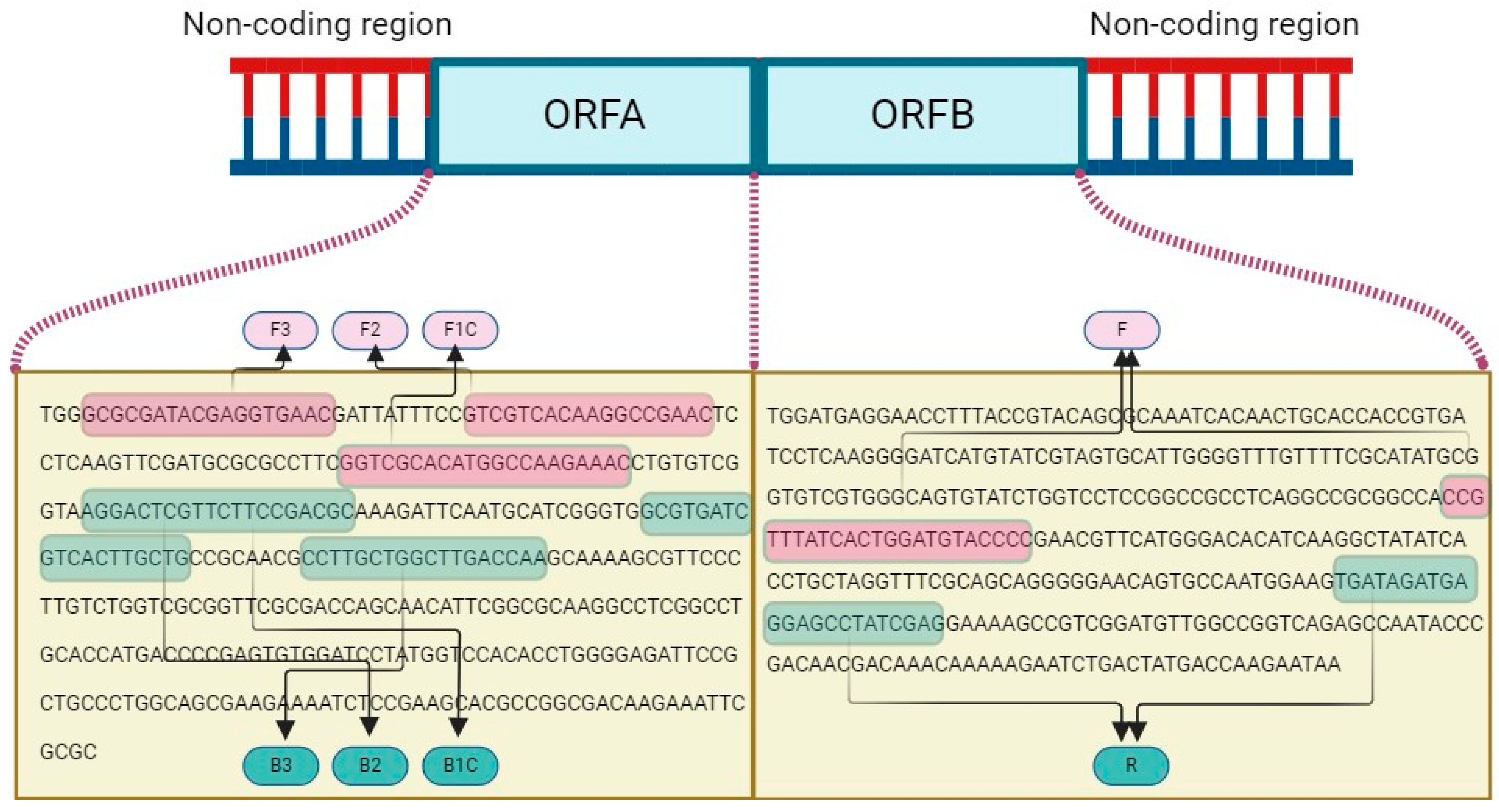 Viruses 16 01203 g002