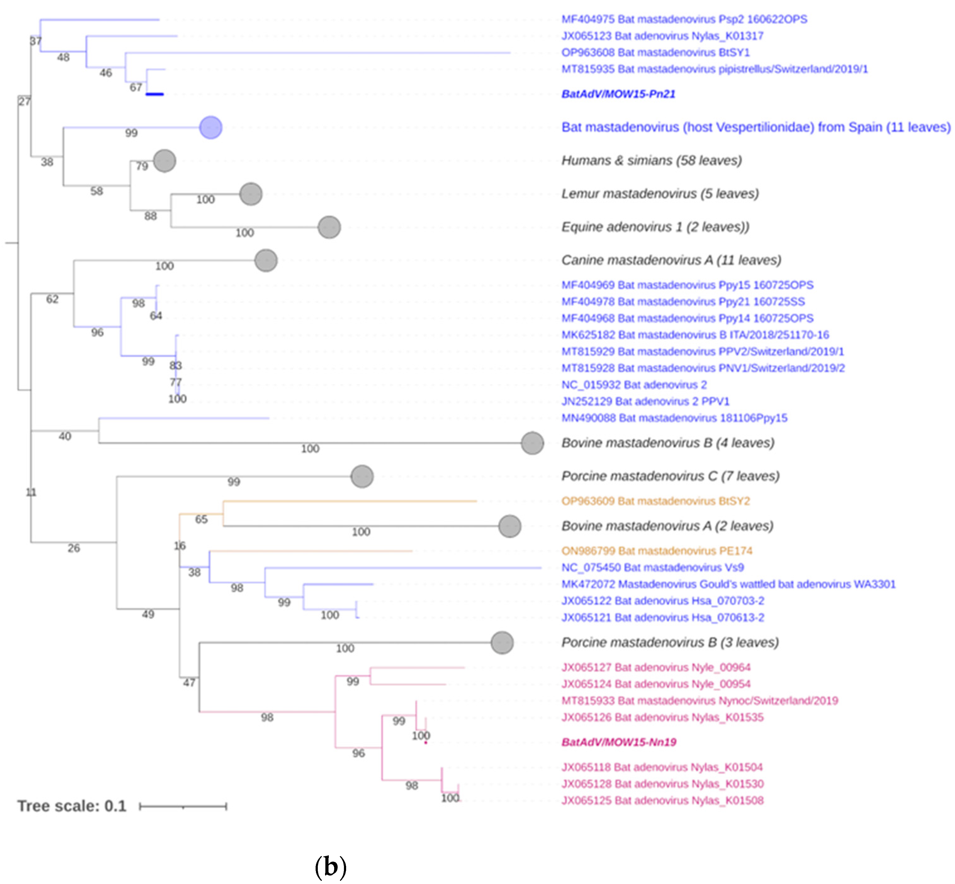 Viruses 16 01207 g003b