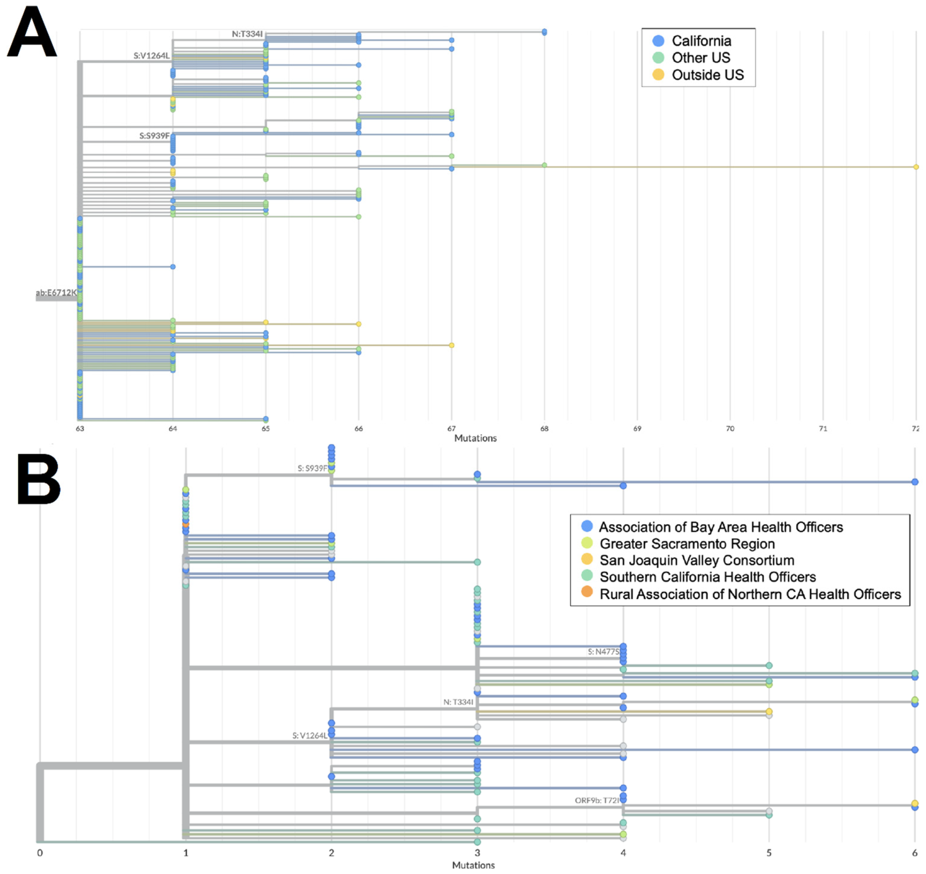 Viruses 16 01209 g004