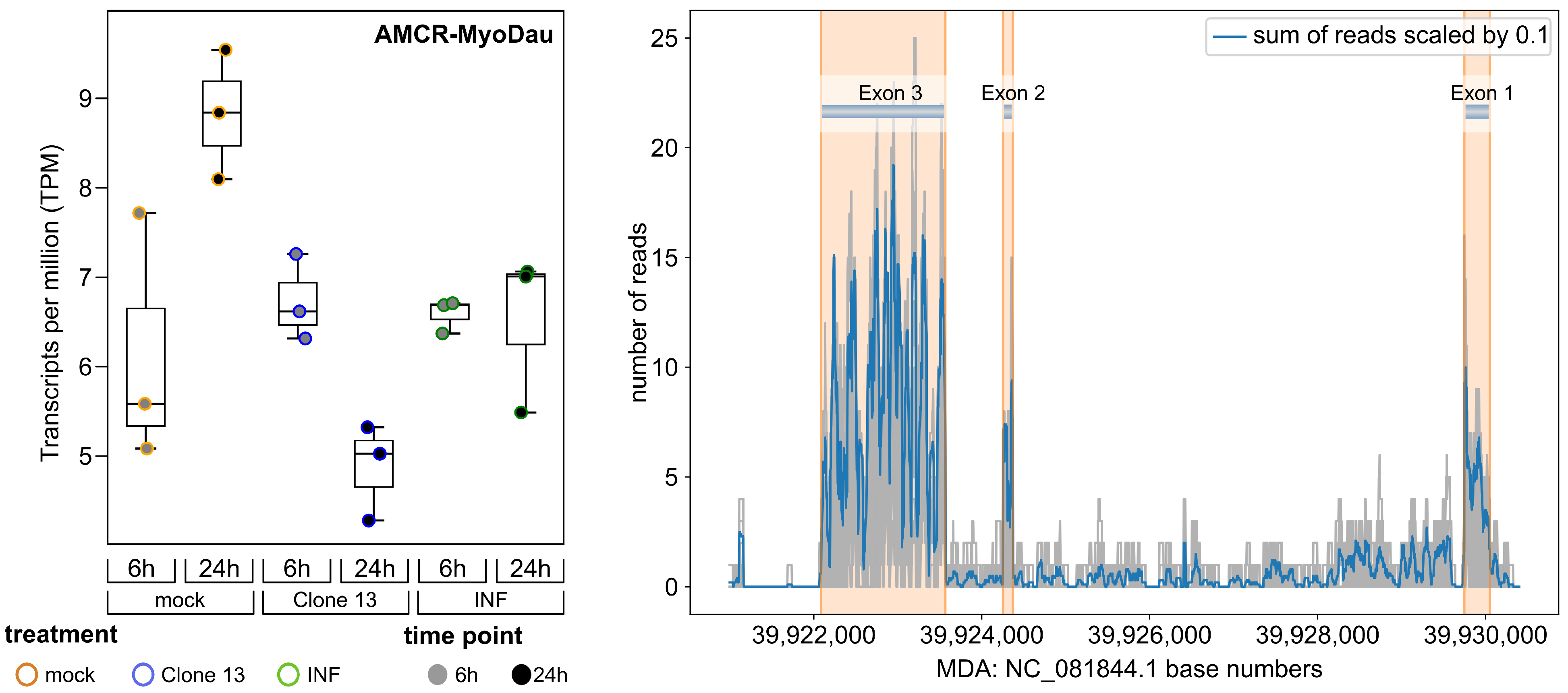 Viruses 16 01210 g002 Viruses 16 01210 g002