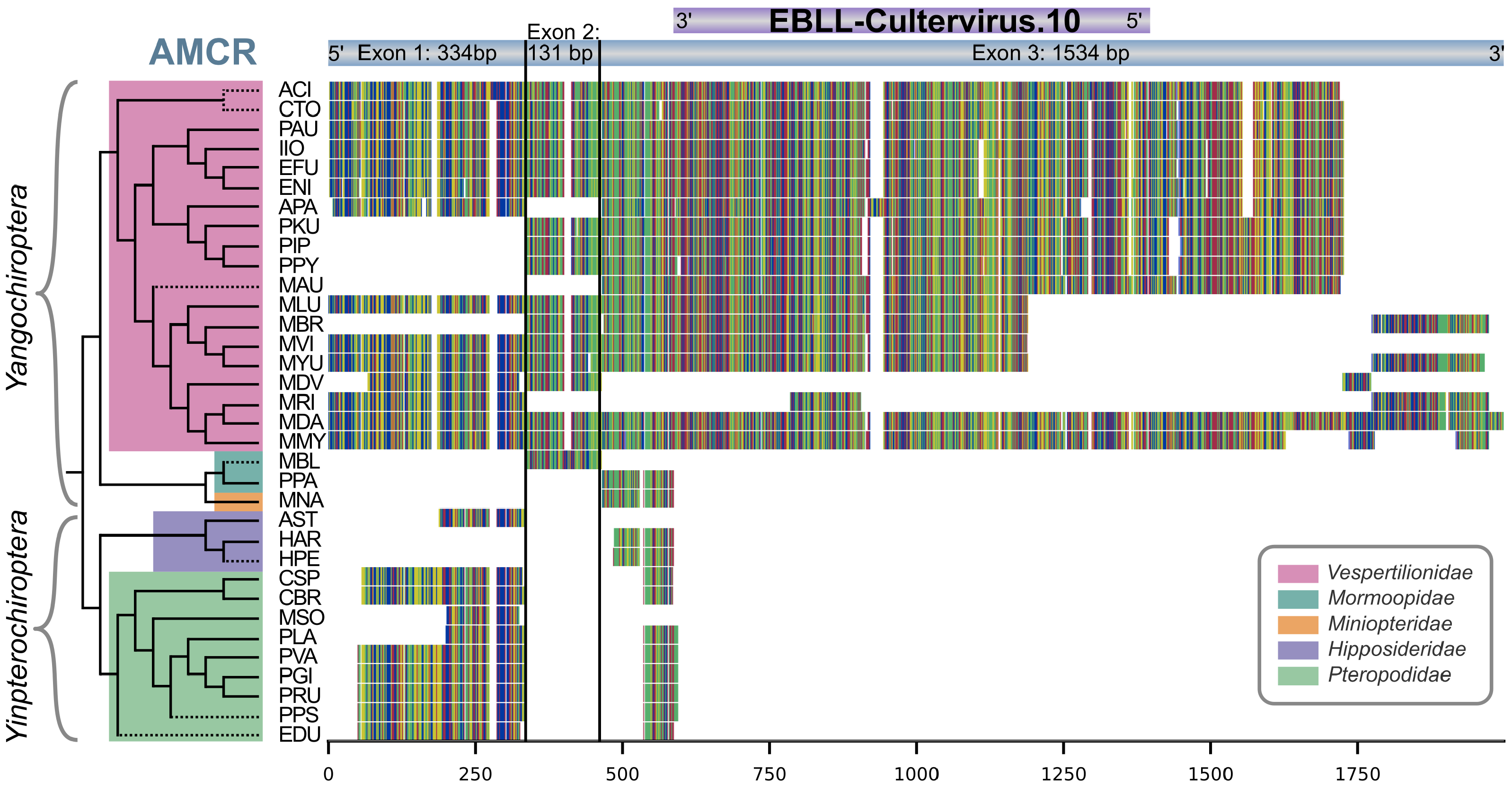 Viruses 16 01210 g005 Viruses 16 01210 g005