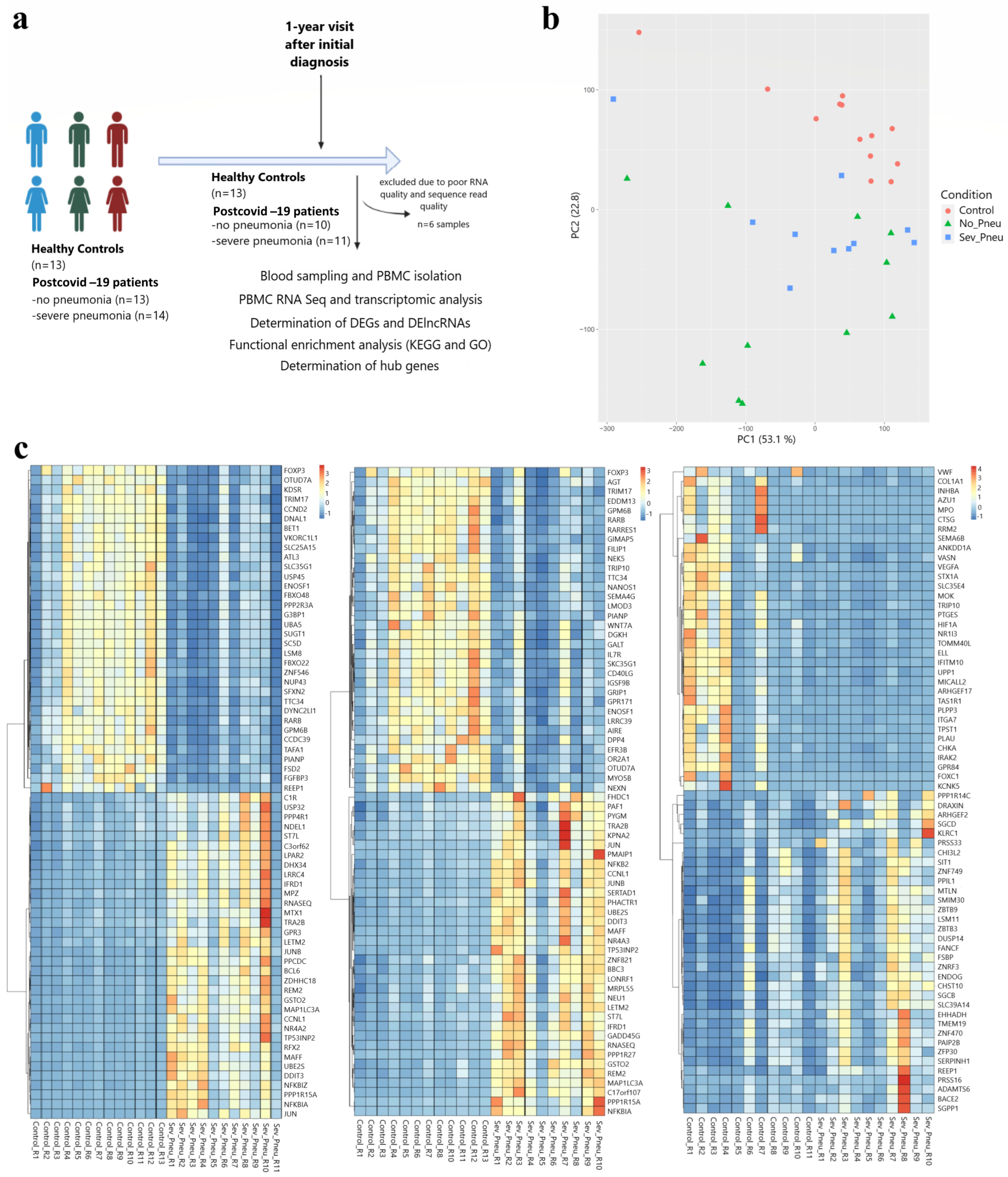 Viruses 16 01211 g001