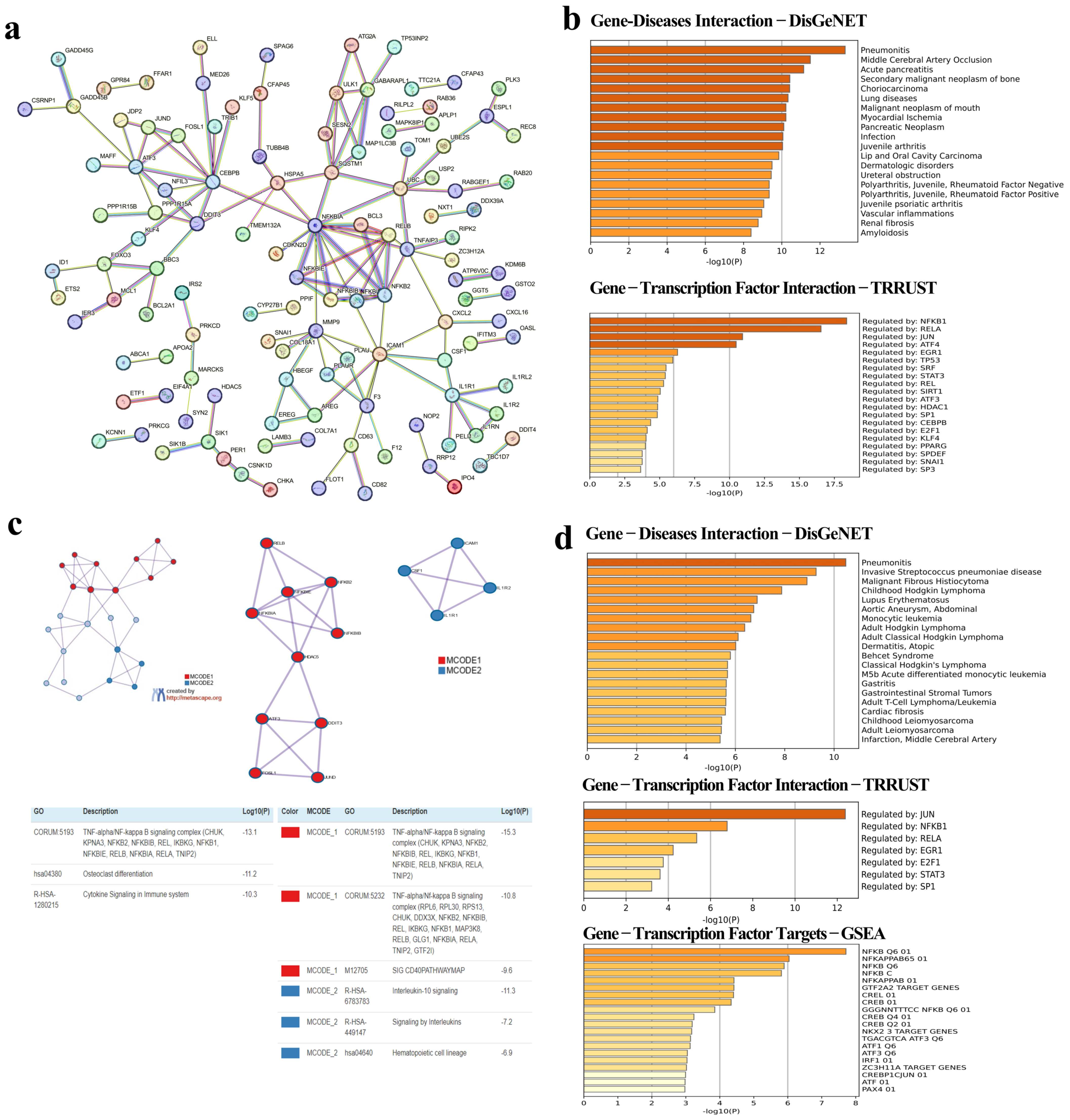 Viruses 16 01211 g003
