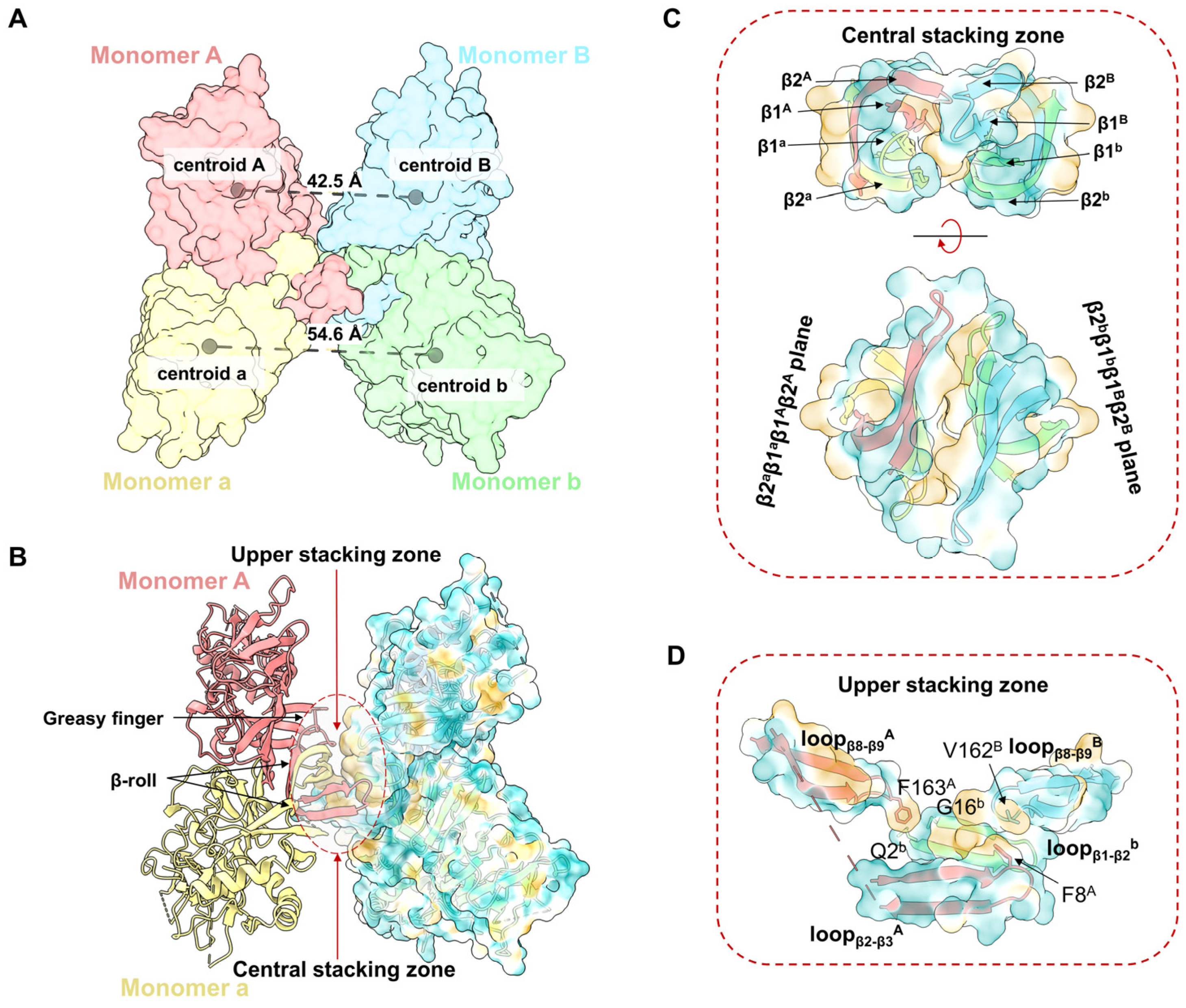 Viruses 16 01212 g002
