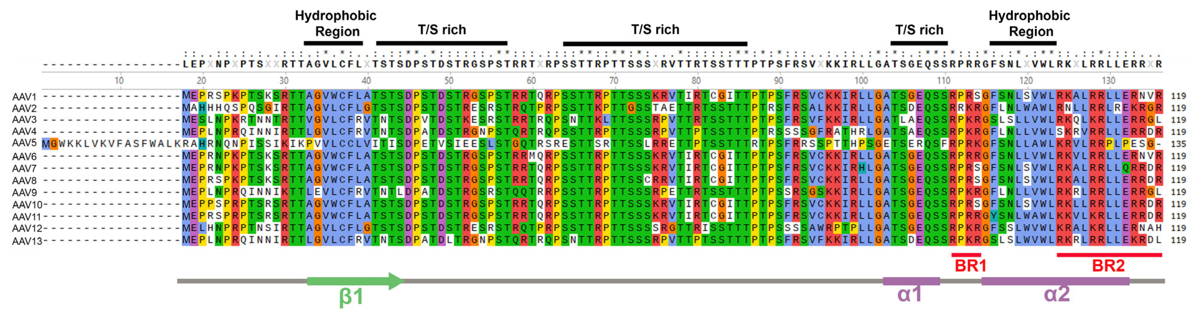 Viruses 16 01215 g005