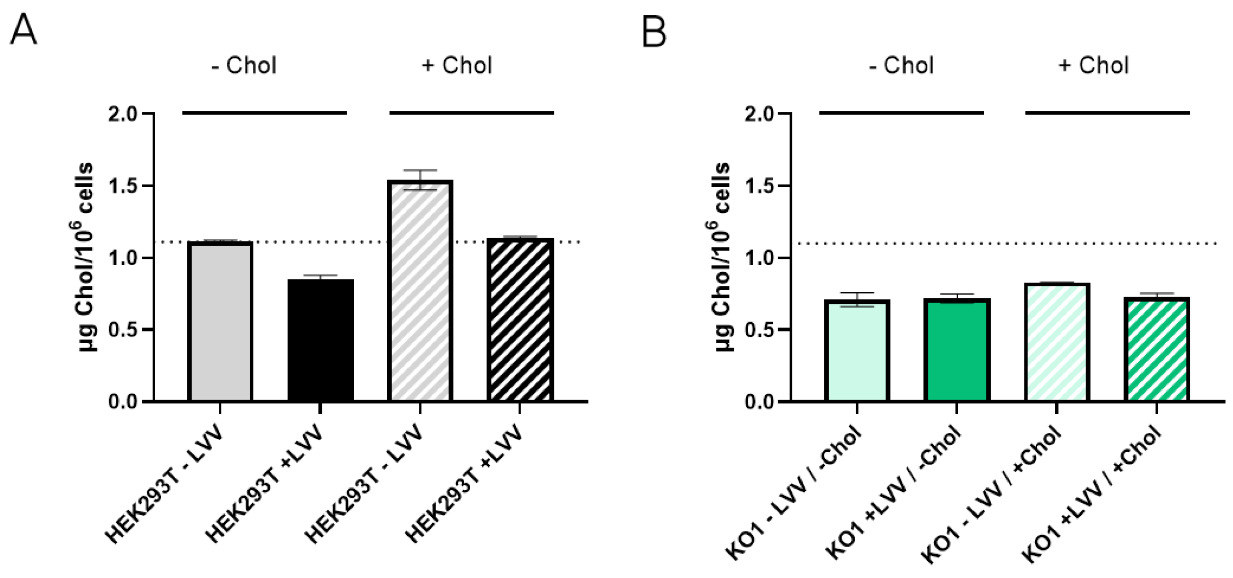 Viruses 16 01216 g007